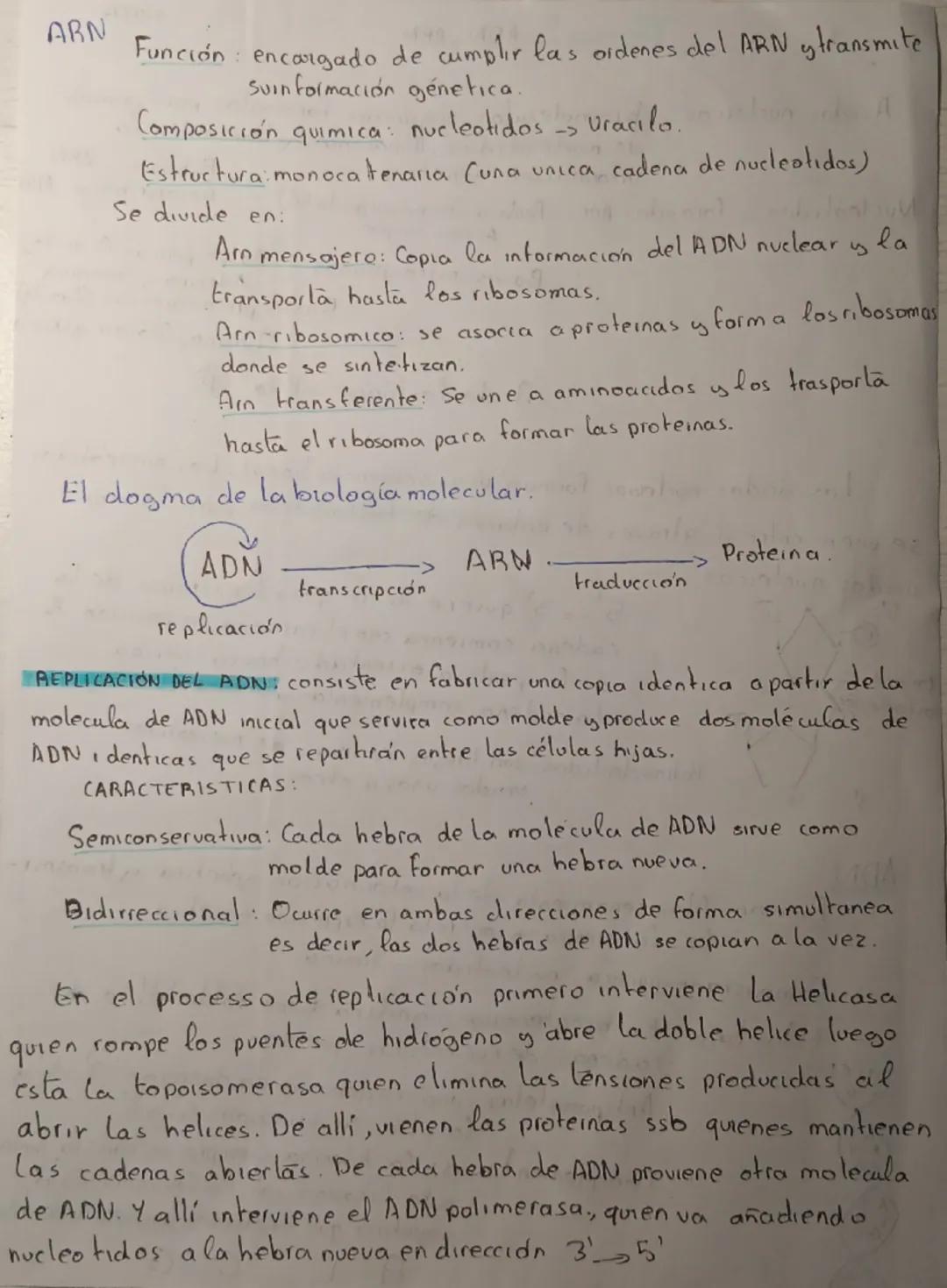 Tema 2. ADN, ARN
NOTA
Ácidos nucleicos biomoleculas orgánicas formados por la unión
de nucleótidos. Almacenan y transmiten la
Información ge