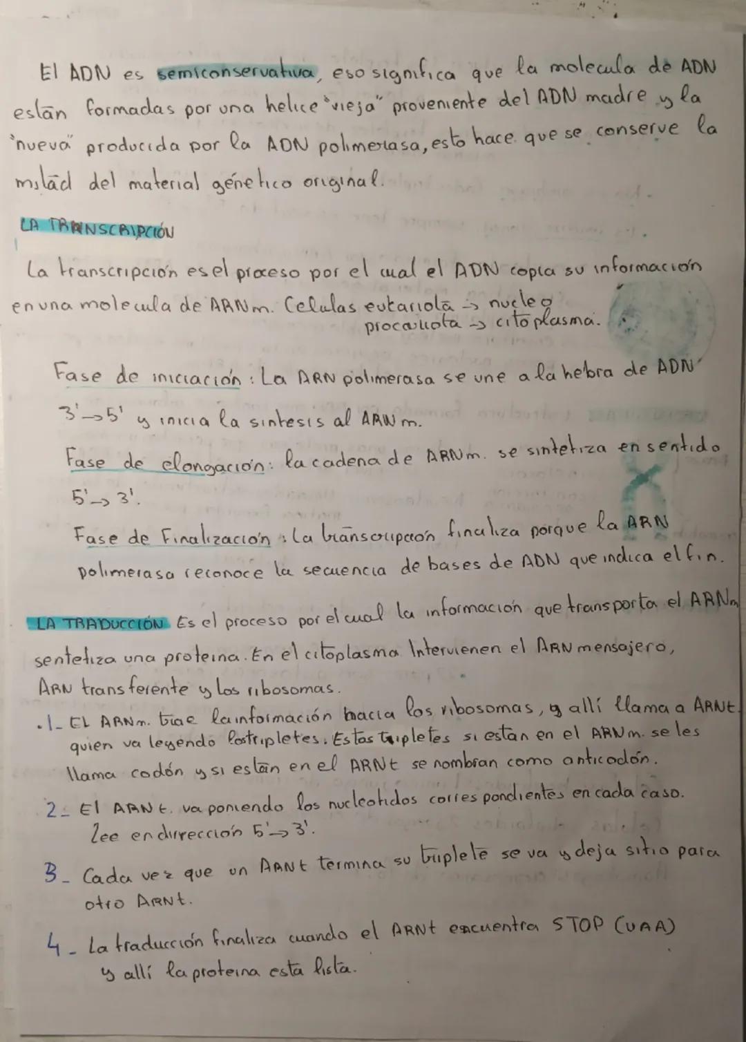 Tema 2. ADN, ARN
NOTA
Ácidos nucleicos biomoleculas orgánicas formados por la unión
de nucleótidos. Almacenan y transmiten la
Información ge