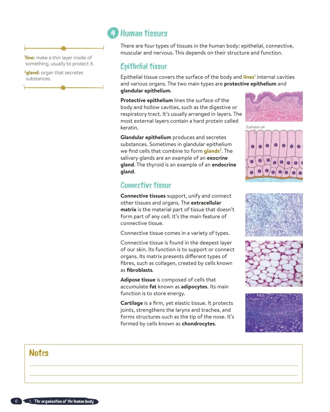 UNIT 1
The organisation of the human body
'highly: very.
2complexity: having many parts,
difficult to understand.
3microorganism: very small