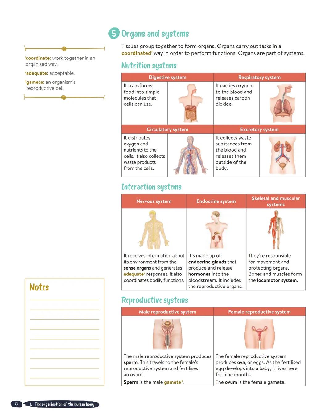UNIT 1
The organisation of the human body
'highly: very.
2complexity: having many parts,
difficult to understand.
3microorganism: very small