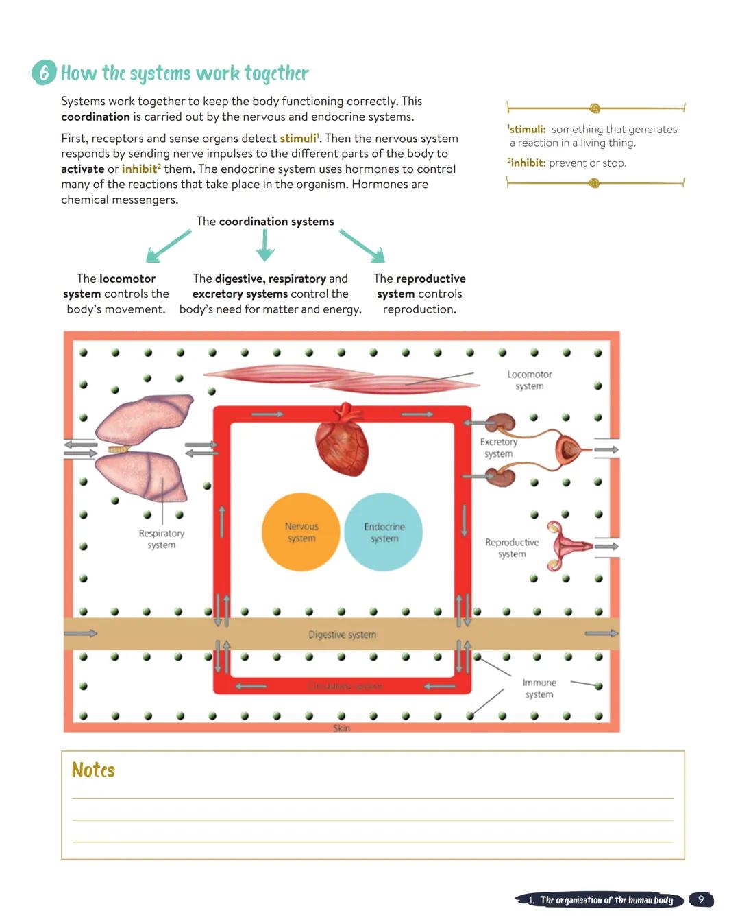 UNIT 1
The organisation of the human body
'highly: very.
2complexity: having many parts,
difficult to understand.
3microorganism: very small