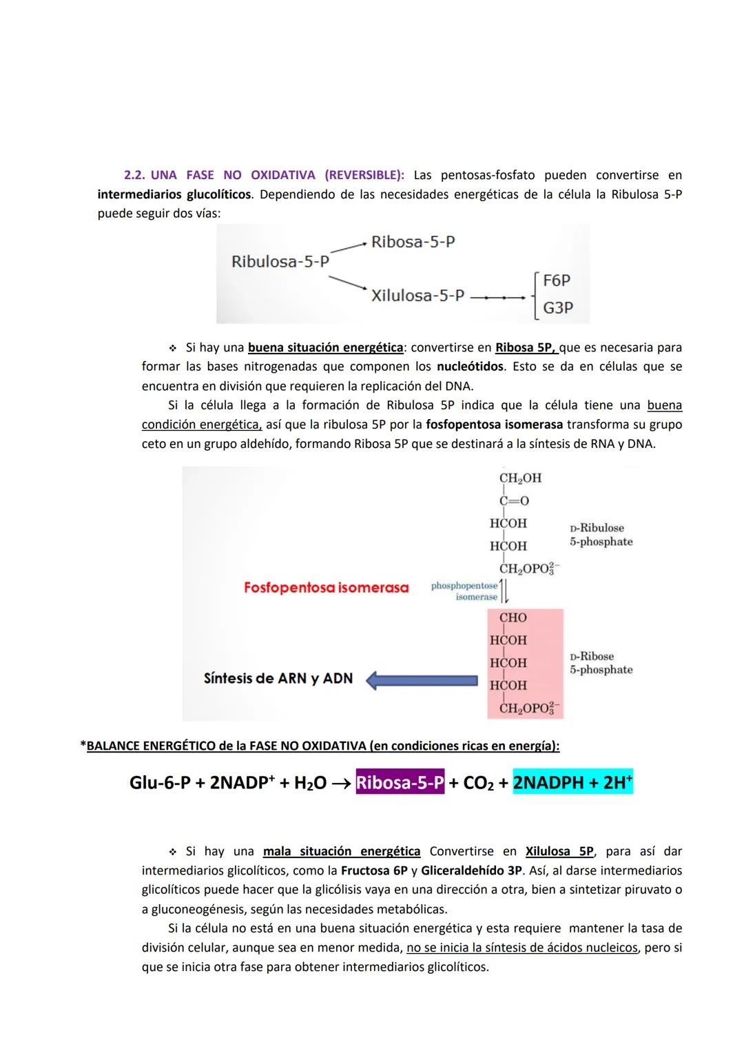 Tema 4: Rutas alternativas a la glucólisis oxidativa: Fermentación y Ruta de las pentosas fosfato
1. FERMENTACIÓN
El acetil Co-A esta en una
