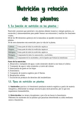 Know Nutrición y relación de las plantas thumbnail