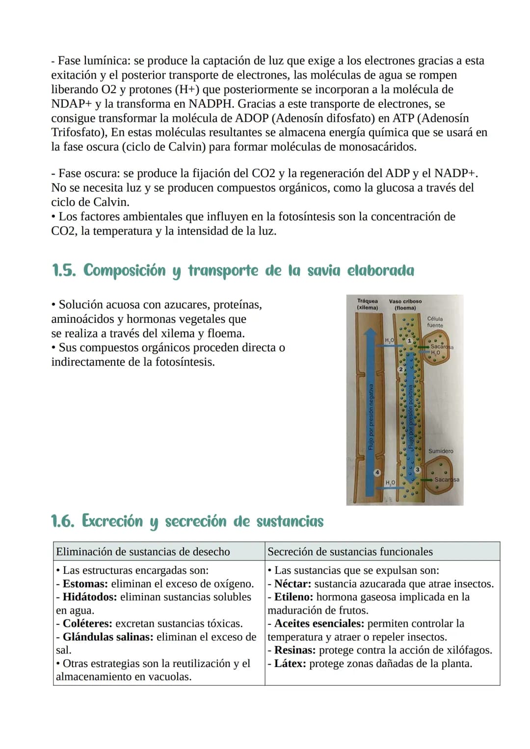 Nutrición y relación
de las plantas
1. La función de nutrición en las plantas :
Nutrición: procesos que permiten a las plantas obtener mater