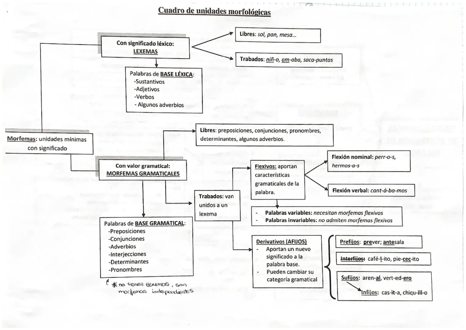 P. Adjetivas.
2. Sustantivas
3. Adverbiales
Subordinadas
- se sustituyen por "el cual", "la cual", "que", "cuyo", "quien"..
complen la funci