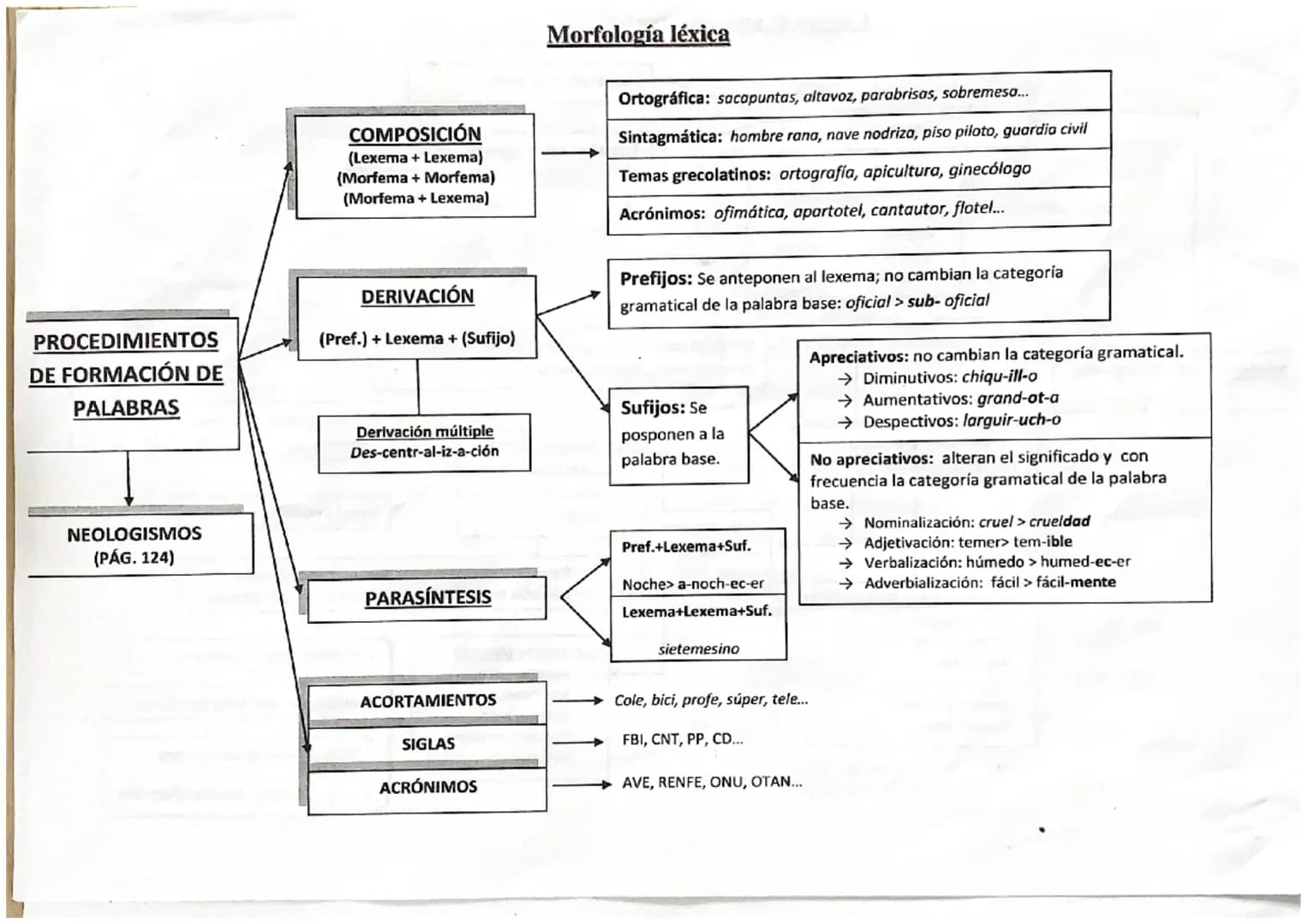 P. Adjetivas.
2. Sustantivas
3. Adverbiales
Subordinadas
- se sustituyen por "el cual", "la cual", "que", "cuyo", "quien"..
complen la funci