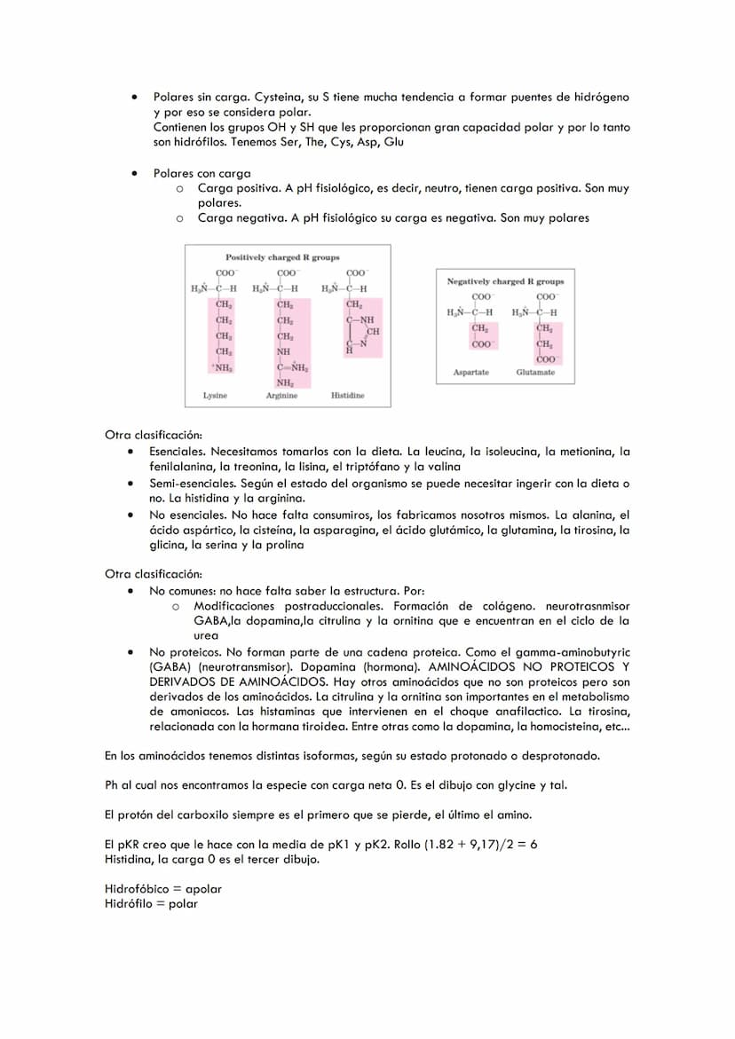 TEMA 2. AMINOÁCIDOS
Índice
1. Importancia de las proteínas
Estructura de los aminoácidos
2.
3. Propiedades de los aminoácidos
Las proteínas 