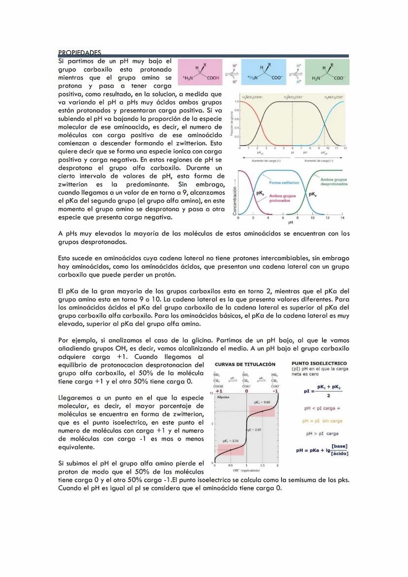 TEMA 2. AMINOÁCIDOS
Índice
1. Importancia de las proteínas
Estructura de los aminoácidos
2.
3. Propiedades de los aminoácidos
Las proteínas 