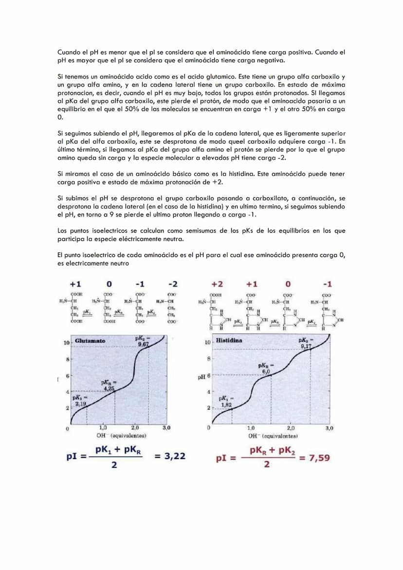 TEMA 2. AMINOÁCIDOS
Índice
1. Importancia de las proteínas
Estructura de los aminoácidos
2.
3. Propiedades de los aminoácidos
Las proteínas 