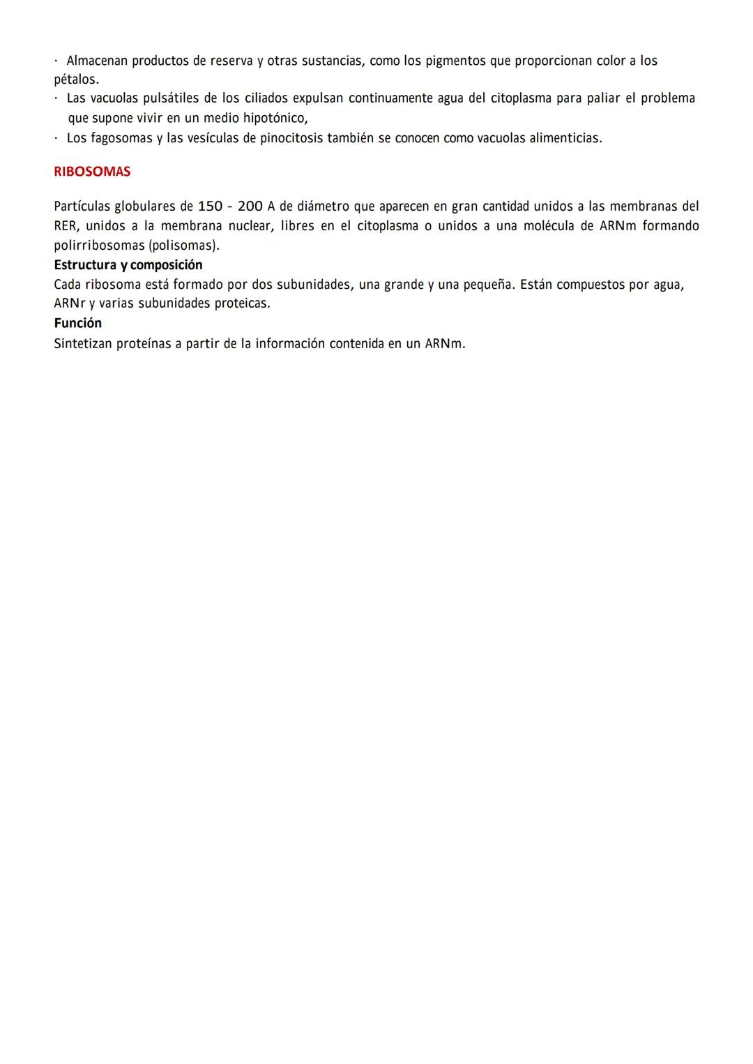 # SISTEMA DE ENDOMEMBRANAS

El sistema de endomembranas, o sistema vacuolar, está formado por la envoltura nuclear, el retículo
endoplasmáti