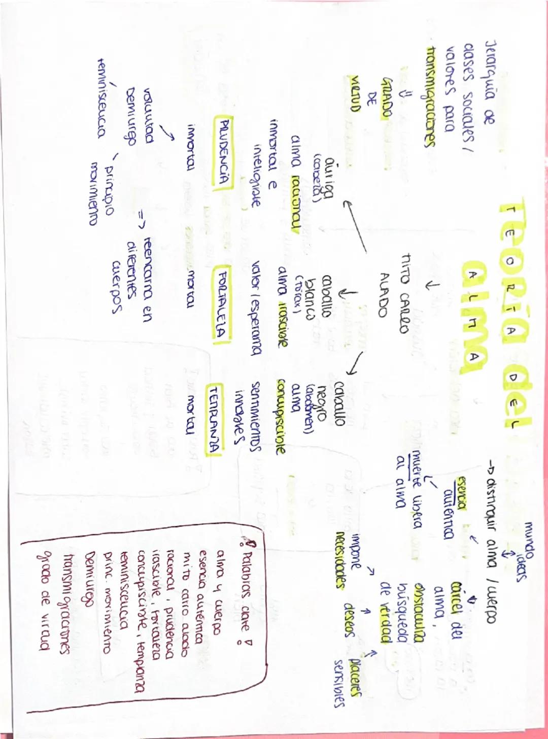 TEORÍA
A
de
ideas
DOS MUNDOS
única
everna-
REALIDAD
"
IDEAS
←
mundo
inteligible
ALMA 4
mundo
eni. matematicas
✓
inmutable
existen por
Si mis