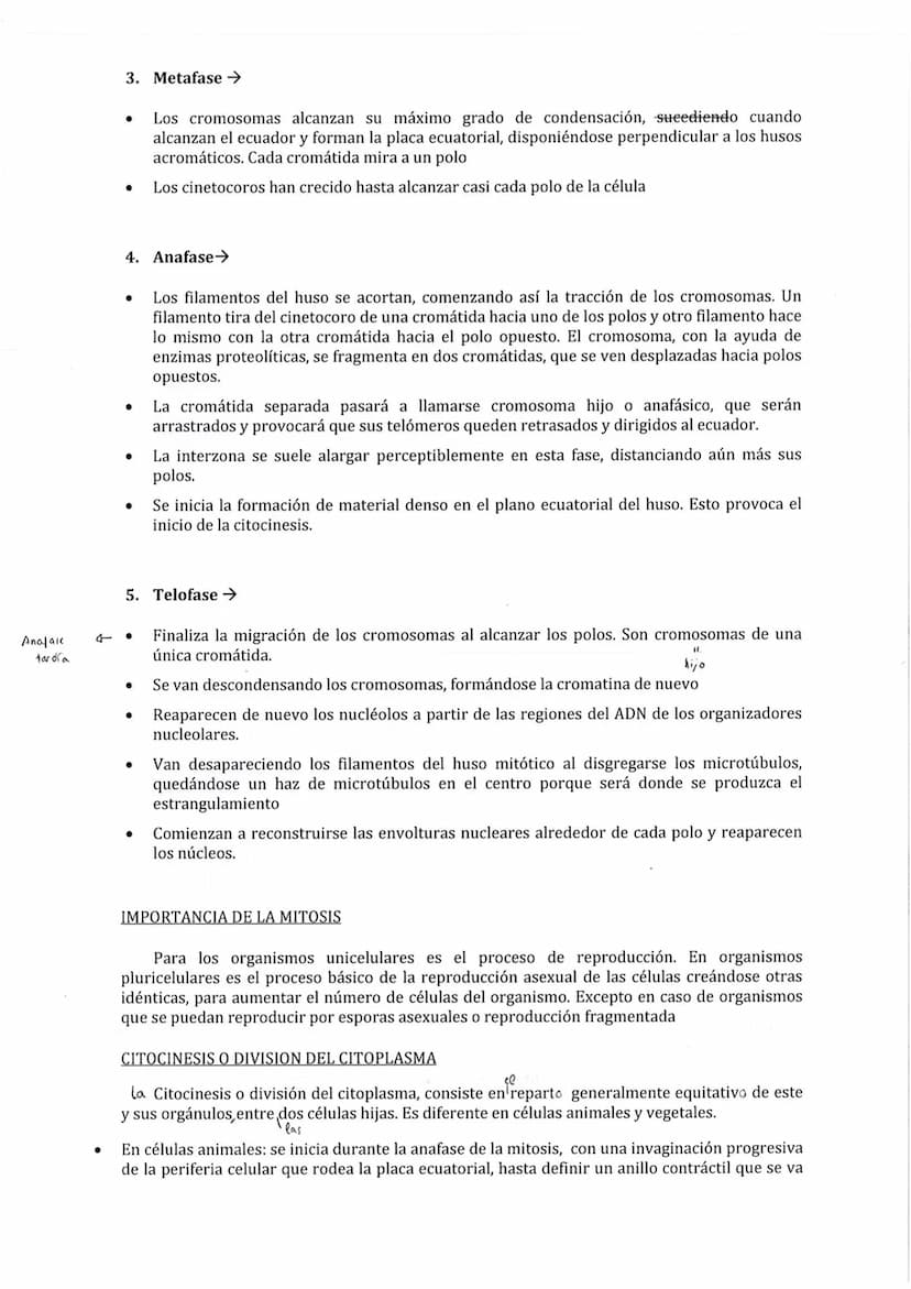Son los procesos que se desarrollan desde que se forma una célula hasta que esta se divide
para dar una nueva. Constituye una serie de etapa