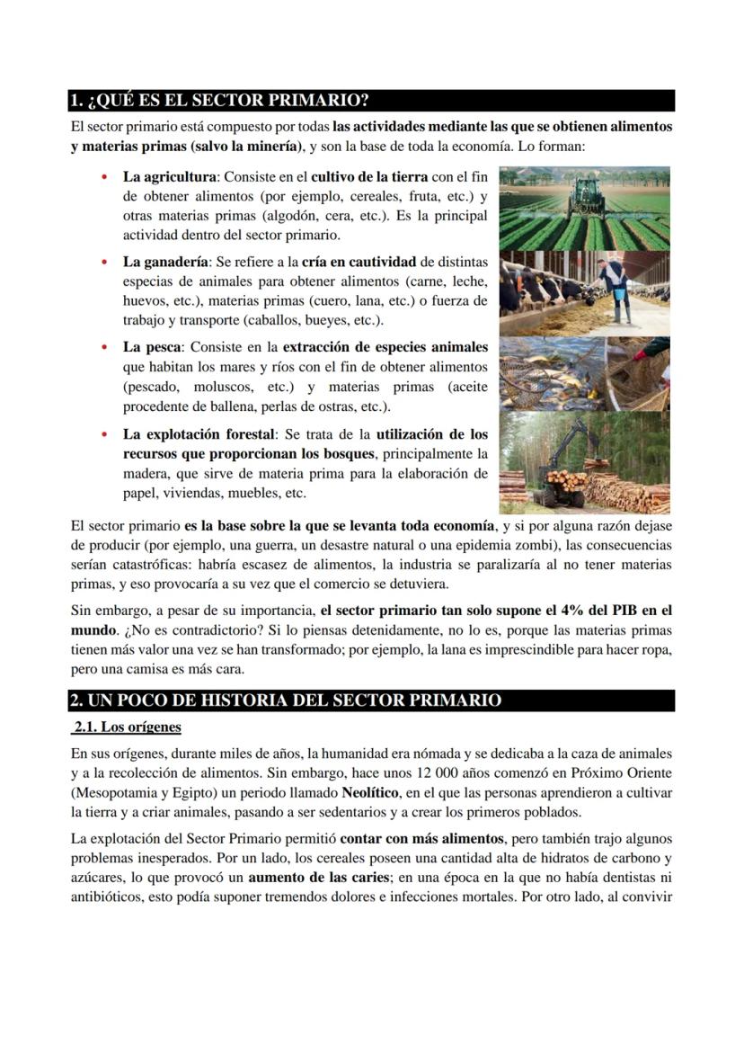 1. ¿QUÉ ES EL SECTOR PRIMARIO?
El sector primario está compuesto por todas las actividades mediante las que se obtienen alimentos
y materias