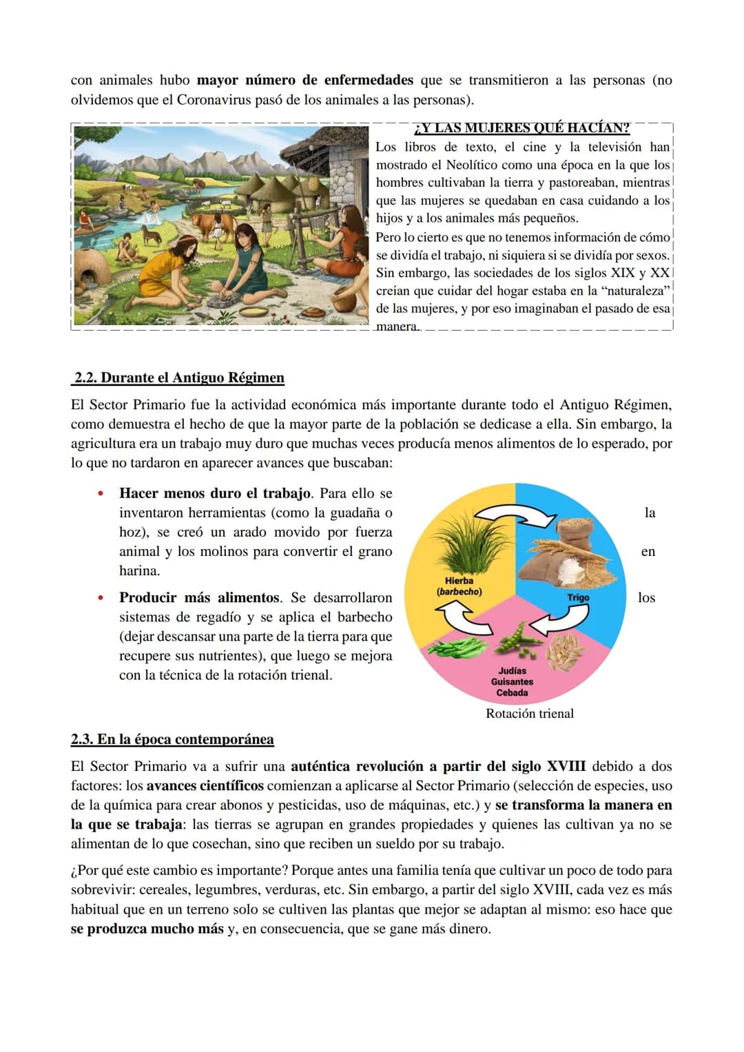 1. ¿QUÉ ES EL SECTOR PRIMARIO?
El sector primario está compuesto por todas las actividades mediante las que se obtienen alimentos
y materias