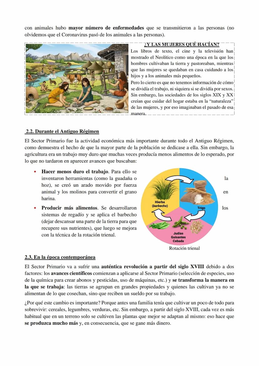 1. ¿QUÉ ES EL SECTOR PRIMARIO?
El sector primario está compuesto por todas las actividades mediante las que se obtienen alimentos
y materias