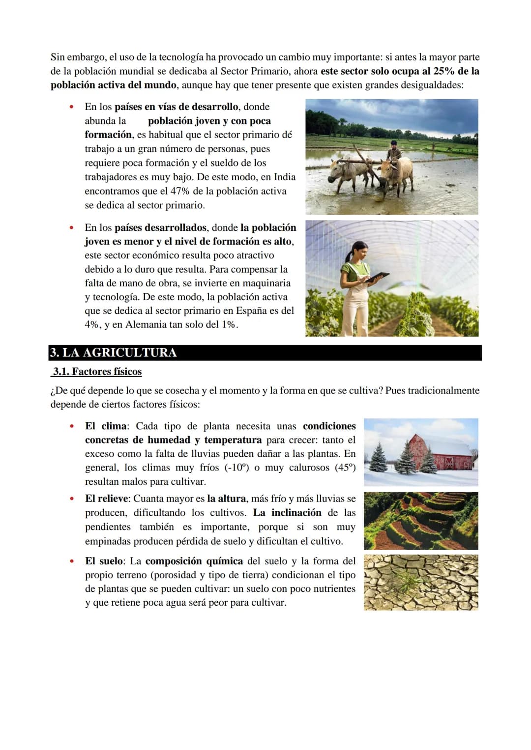 1. ¿QUÉ ES EL SECTOR PRIMARIO?
El sector primario está compuesto por todas las actividades mediante las que se obtienen alimentos
y materias