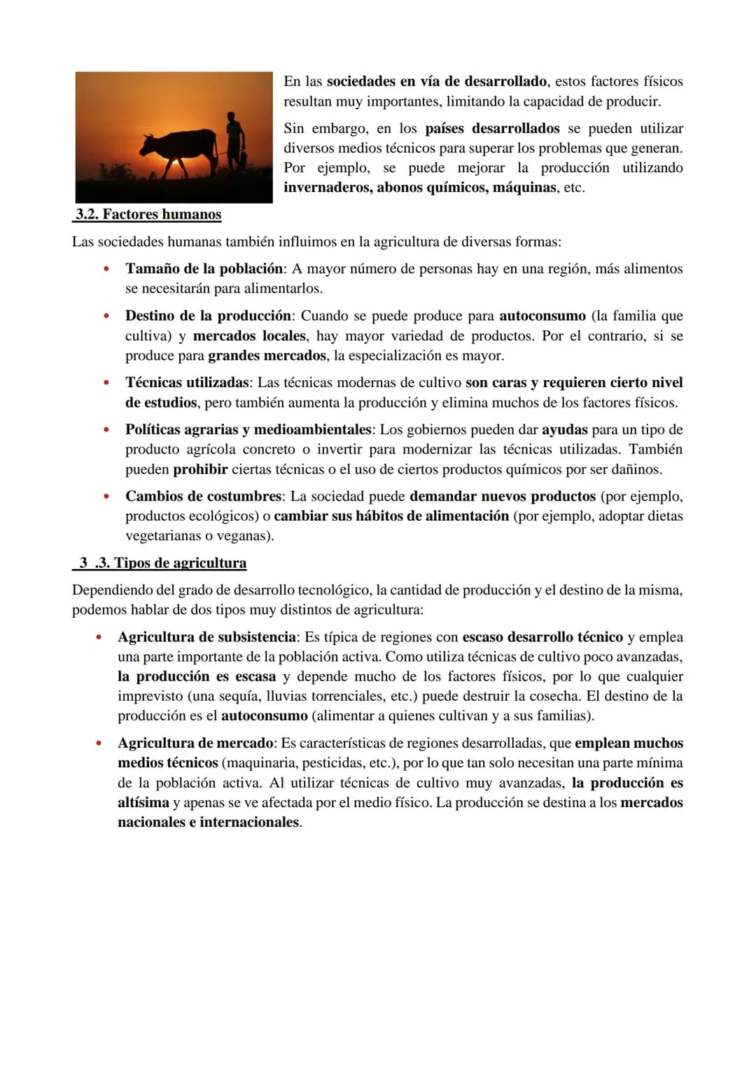 1. ¿QUÉ ES EL SECTOR PRIMARIO?
El sector primario está compuesto por todas las actividades mediante las que se obtienen alimentos
y materias