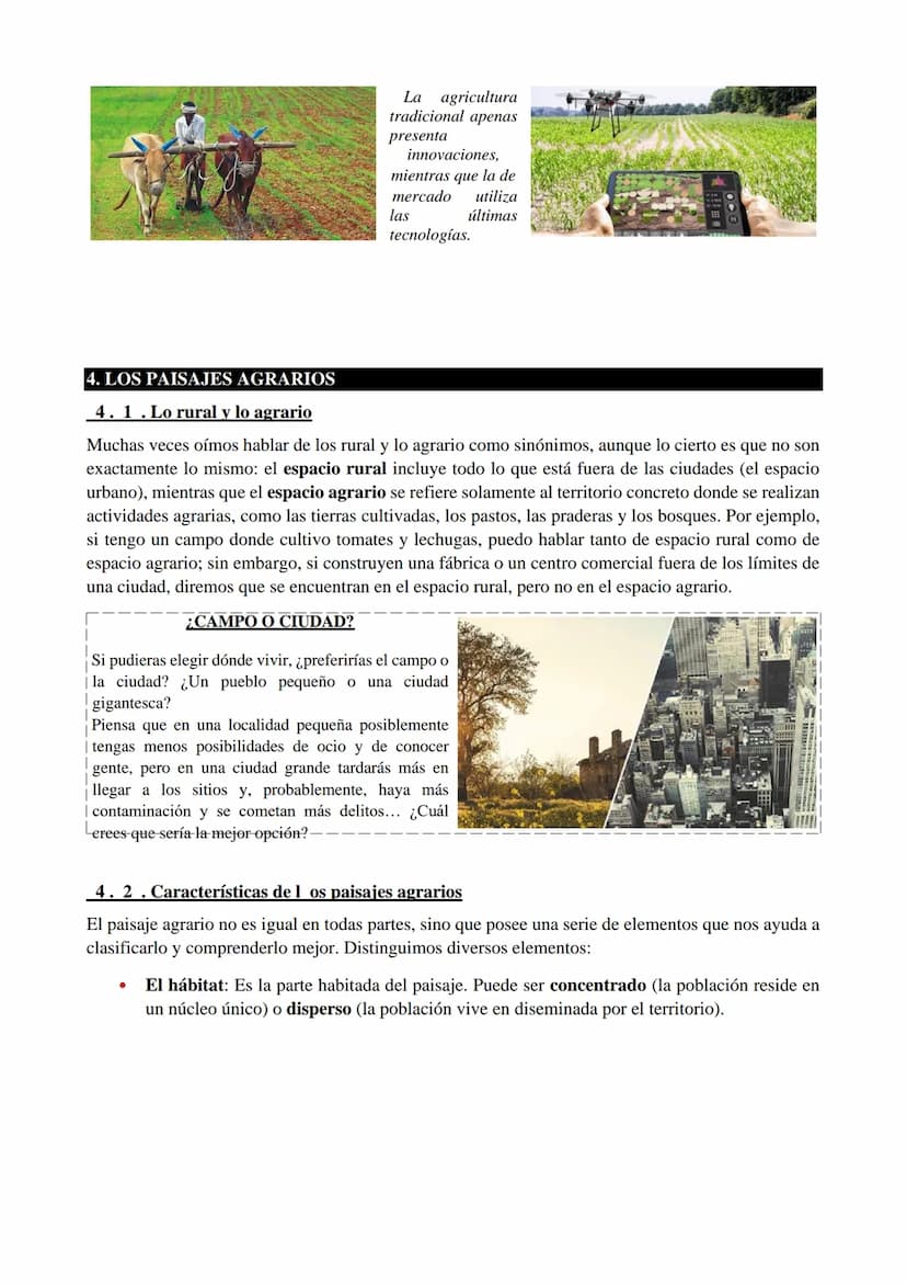 1. ¿QUÉ ES EL SECTOR PRIMARIO?
El sector primario está compuesto por todas las actividades mediante las que se obtienen alimentos
y materias