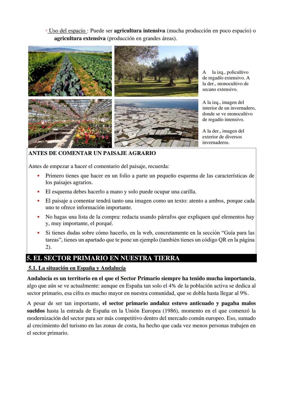 1. ¿QUÉ ES EL SECTOR PRIMARIO?
El sector primario está compuesto por todas las actividades mediante las que se obtienen alimentos
y materias