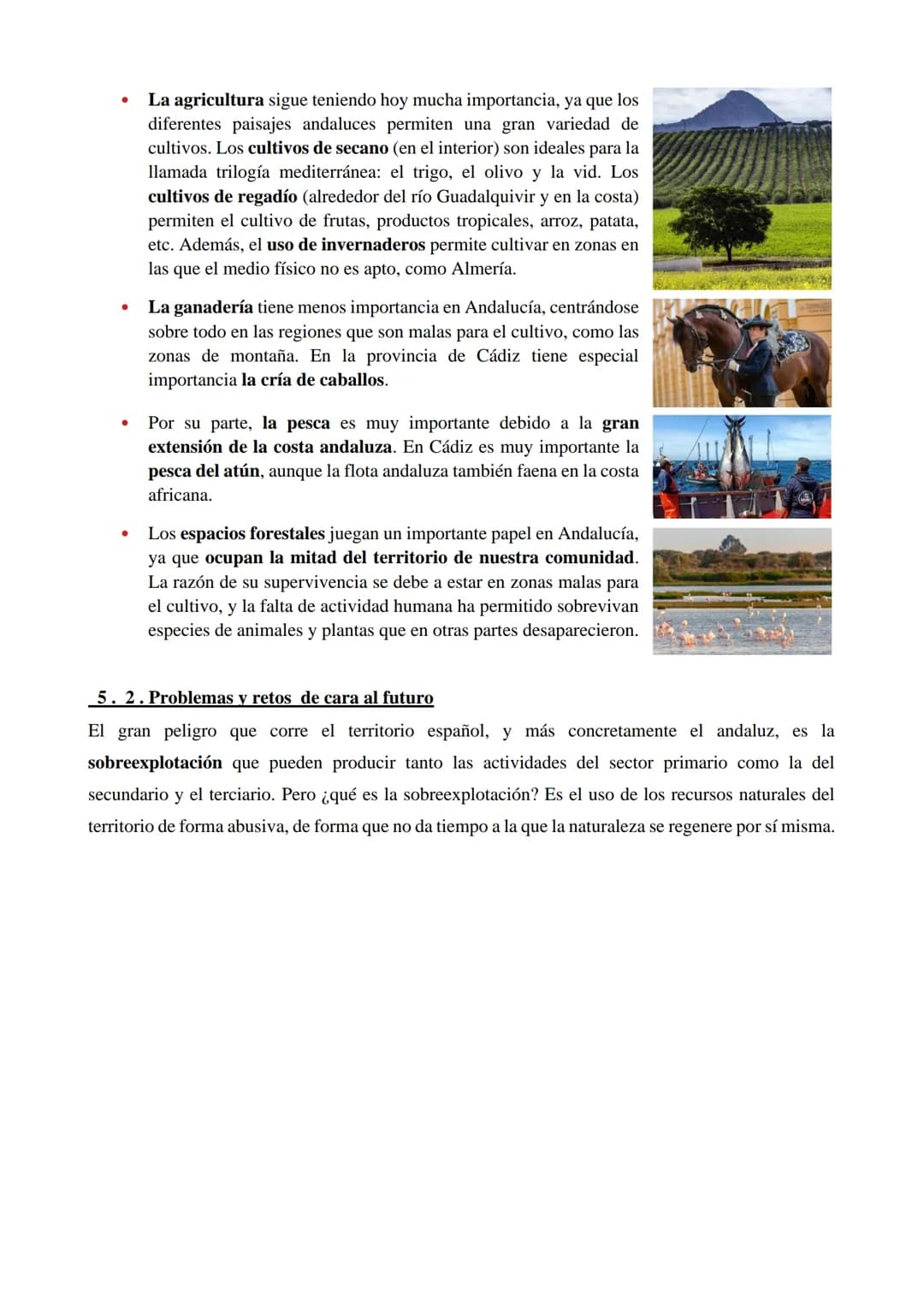 1. ¿QUÉ ES EL SECTOR PRIMARIO?
El sector primario está compuesto por todas las actividades mediante las que se obtienen alimentos
y materias