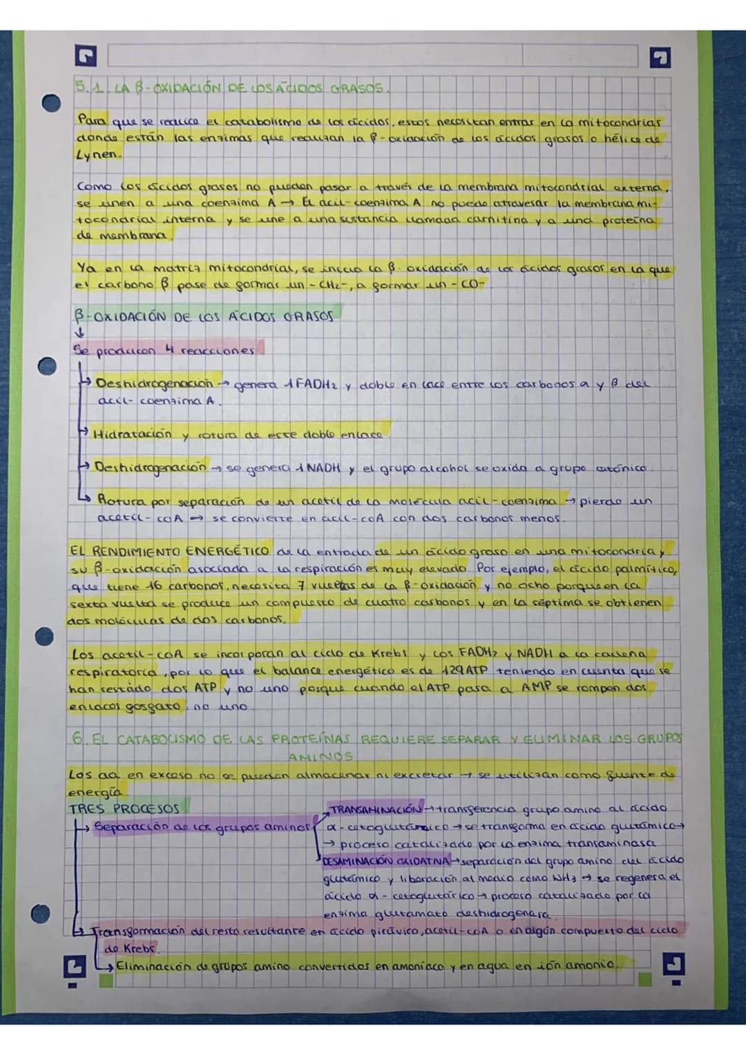 El catabolismo es la fase degradativa del metabolismo, en la cual se libera energia. En cas
vias catabólicas, was moléculas orgánicas comple