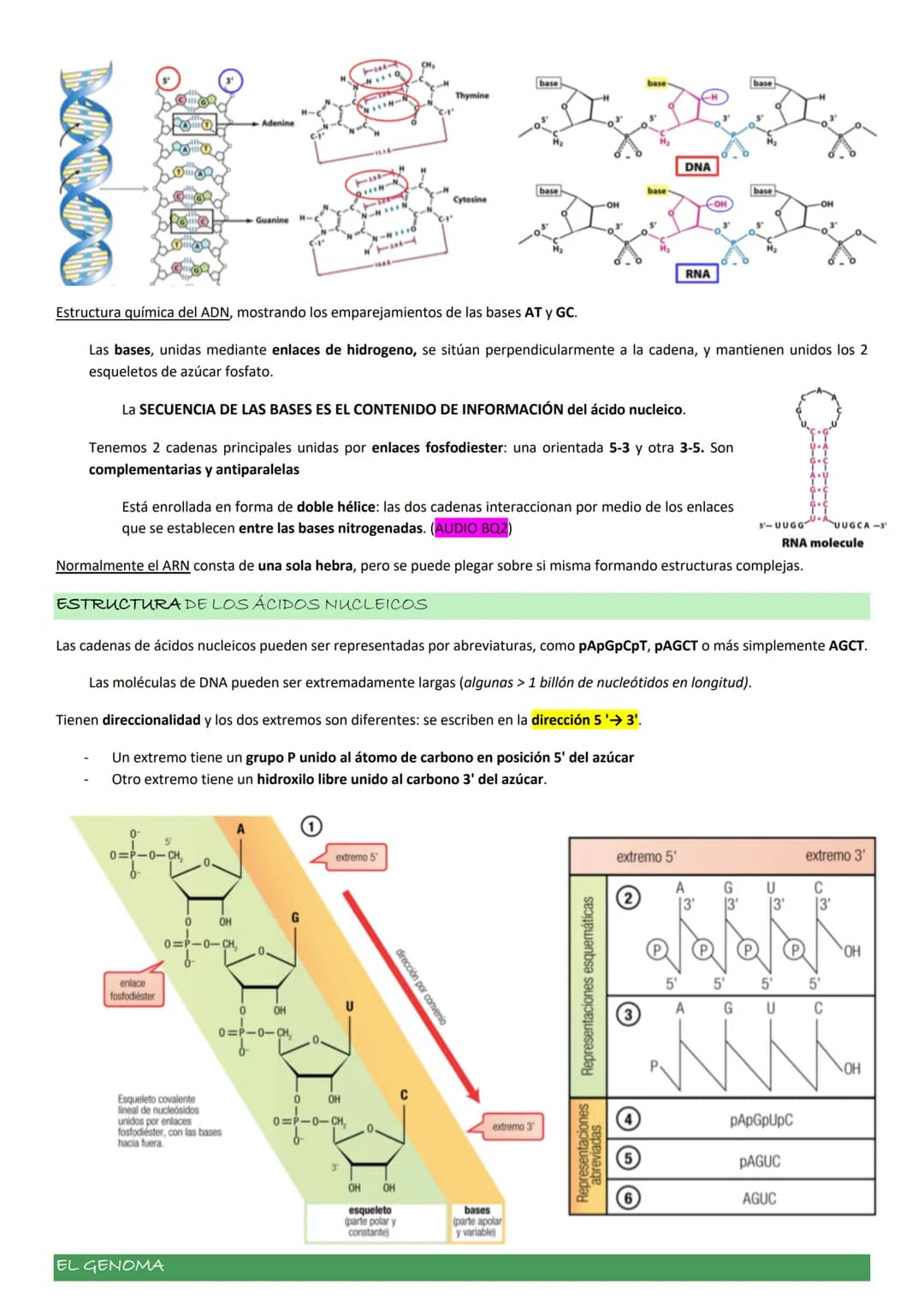 ASPECTOS GENERALES. NUCLEOTIDOS.
Los NUCLEOTIDOS son el componente esencial del material genético, pero además tienen un papel clave en el m