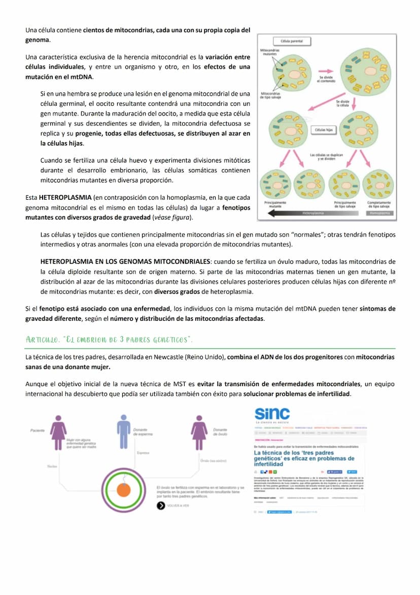 ASPECTOS GENERALES. NUCLEOTIDOS.
Los NUCLEOTIDOS son el componente esencial del material genético, pero además tienen un papel clave en el m