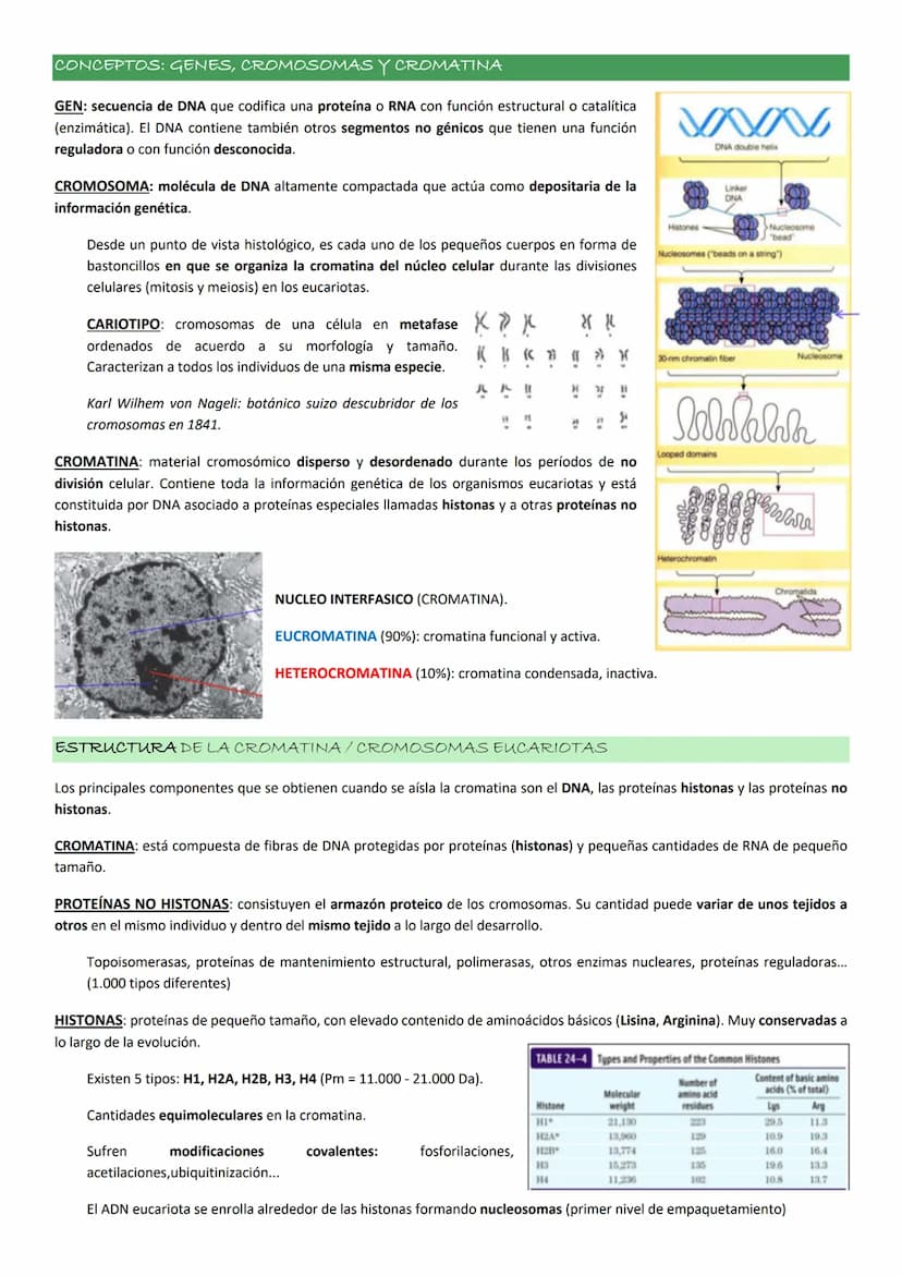 ASPECTOS GENERALES. NUCLEOTIDOS.
Los NUCLEOTIDOS son el componente esencial del material genético, pero además tienen un papel clave en el m