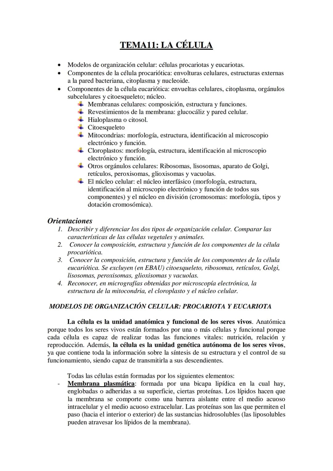 ●
●
TEMA11: LA CÉLULA
Modelos de organización celular: células procariotas y eucariotas.
Componentes de la célula procariótica: envolturas c