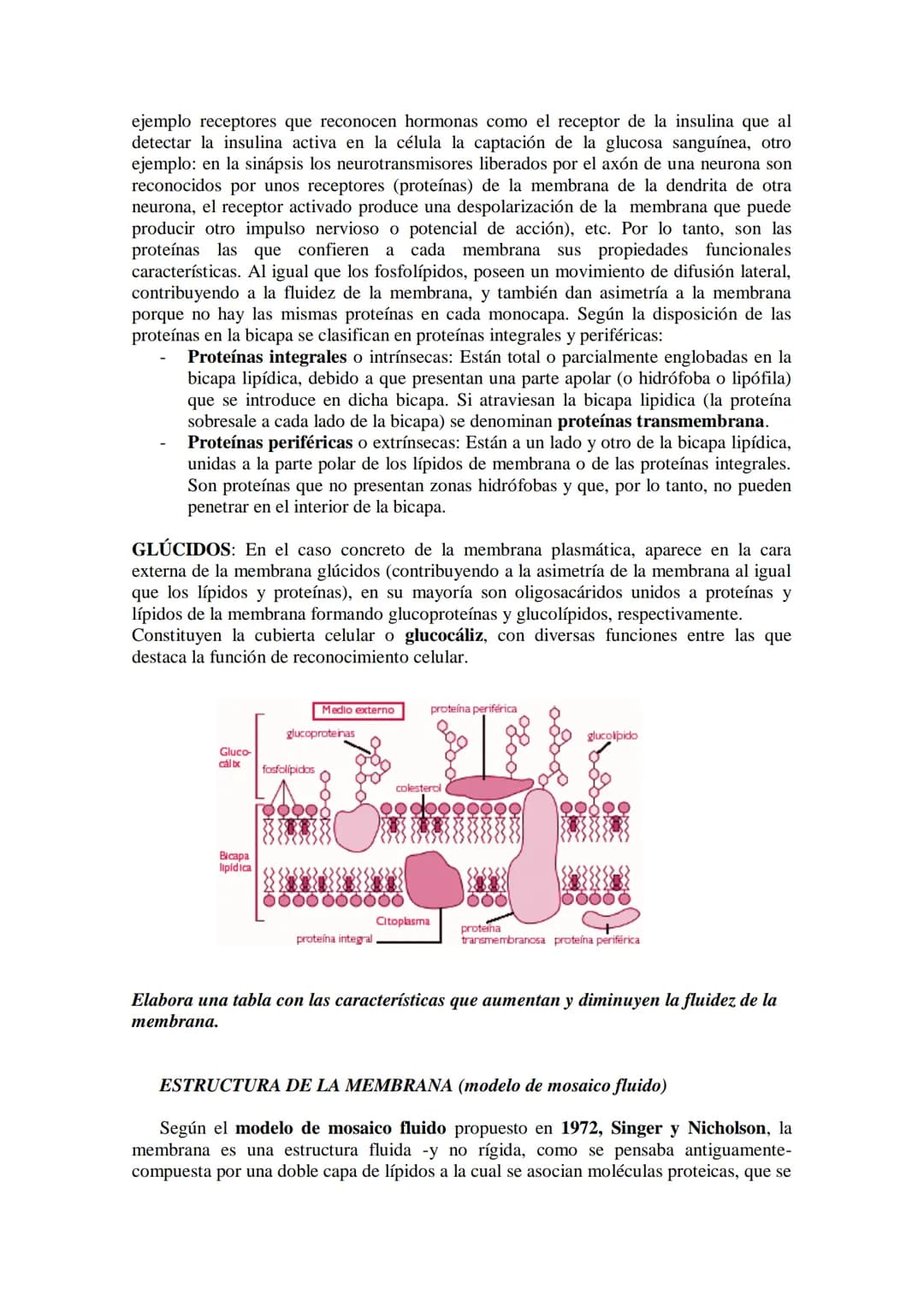 ●
●
TEMA11: LA CÉLULA
Modelos de organización celular: células procariotas y eucariotas.
Componentes de la célula procariótica: envolturas c