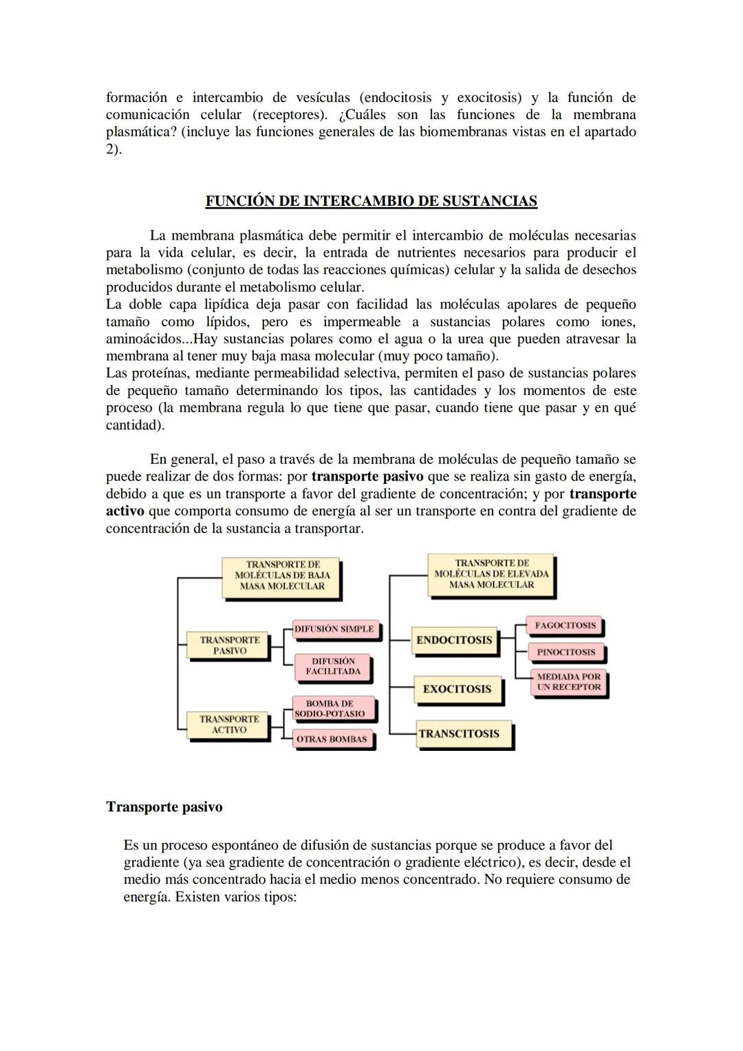 ●
●
TEMA11: LA CÉLULA
Modelos de organización celular: células procariotas y eucariotas.
Componentes de la célula procariótica: envolturas c