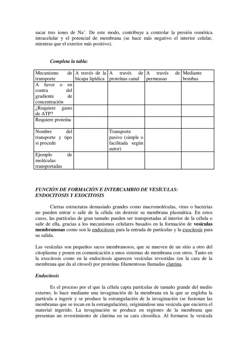 ●
●
TEMA11: LA CÉLULA
Modelos de organización celular: células procariotas y eucariotas.
Componentes de la célula procariótica: envolturas c