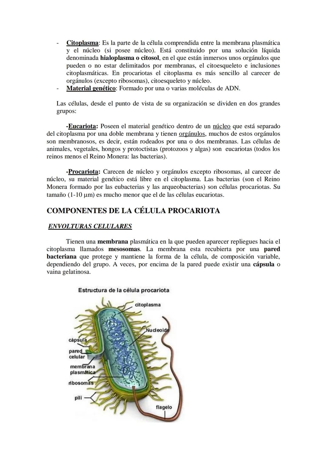 ●
●
TEMA11: LA CÉLULA
Modelos de organización celular: células procariotas y eucariotas.
Componentes de la célula procariótica: envolturas c