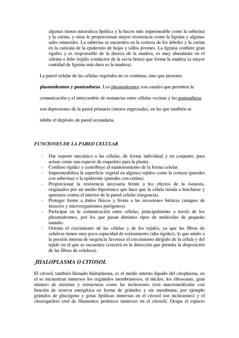 ●
●
TEMA11: LA CÉLULA
Modelos de organización celular: células procariotas y eucariotas.
Componentes de la célula procariótica: envolturas c