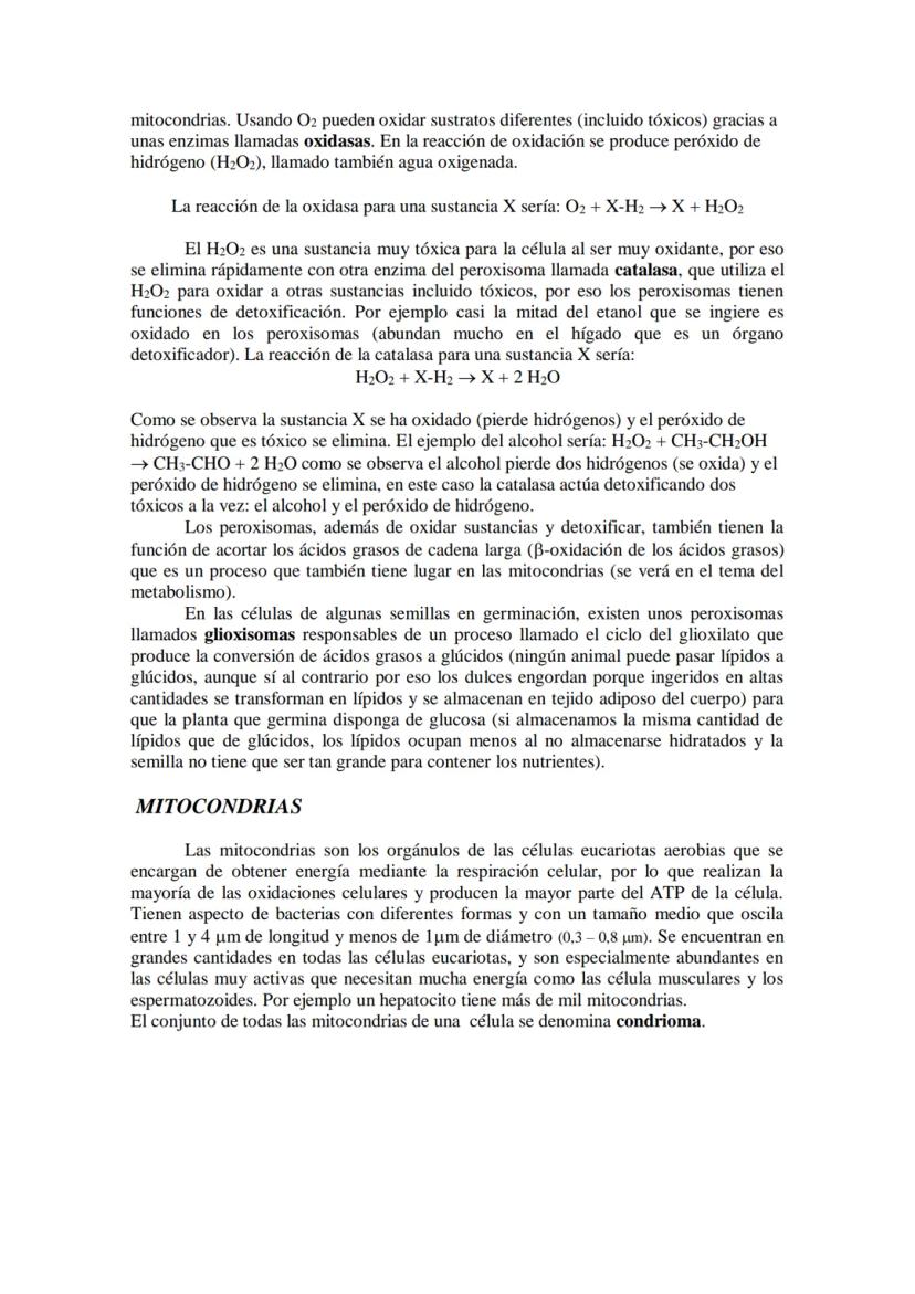 ●
●
TEMA11: LA CÉLULA
Modelos de organización celular: células procariotas y eucariotas.
Componentes de la célula procariótica: envolturas c