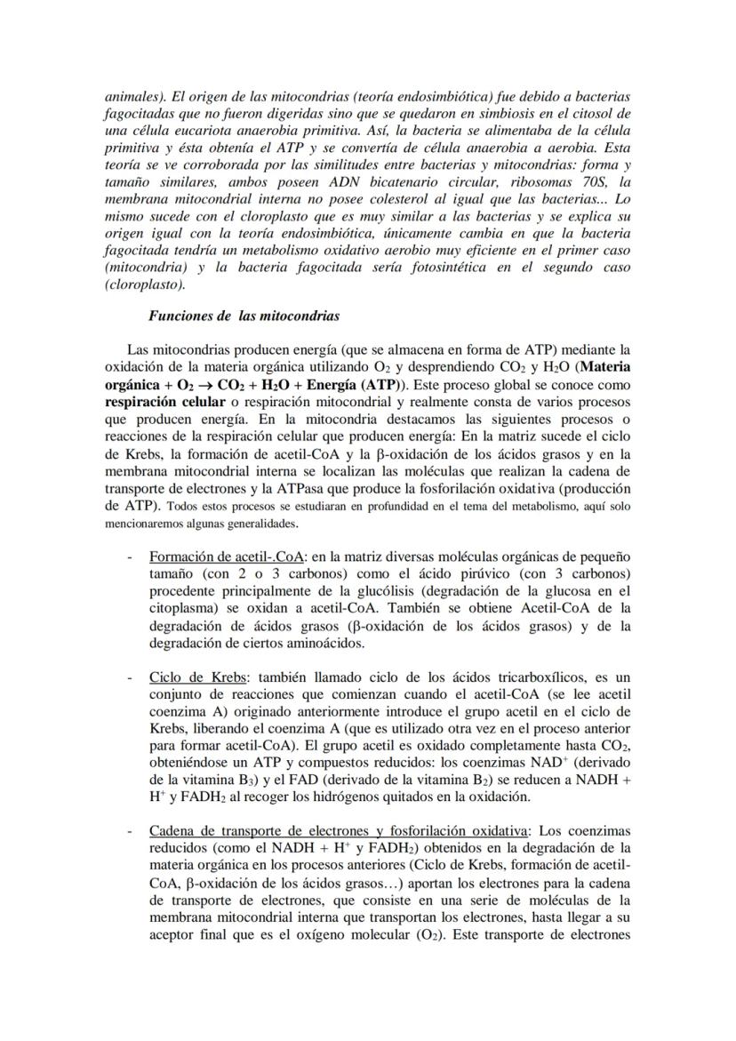 ●
●
TEMA11: LA CÉLULA
Modelos de organización celular: células procariotas y eucariotas.
Componentes de la célula procariótica: envolturas c