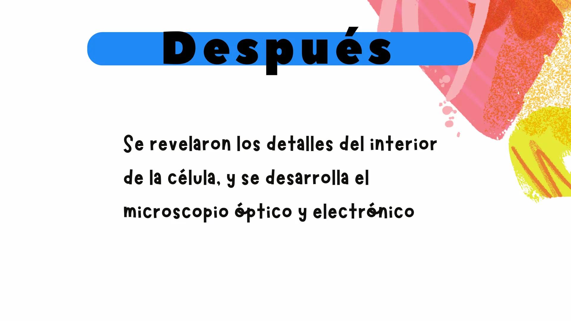 A3
1
LA CÉLULA
LA TEORÍA CELULAR
tussapuntees
2 Descubrimiento
Las células son microscópicas, por lo que solo pudieron ser
estudiadas tras l