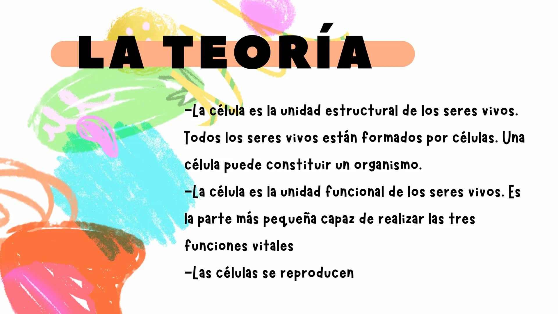 A3
1
LA CÉLULA
LA TEORÍA CELULAR
tussapuntees
2 Descubrimiento
Las células son microscópicas, por lo que solo pudieron ser
estudiadas tras l