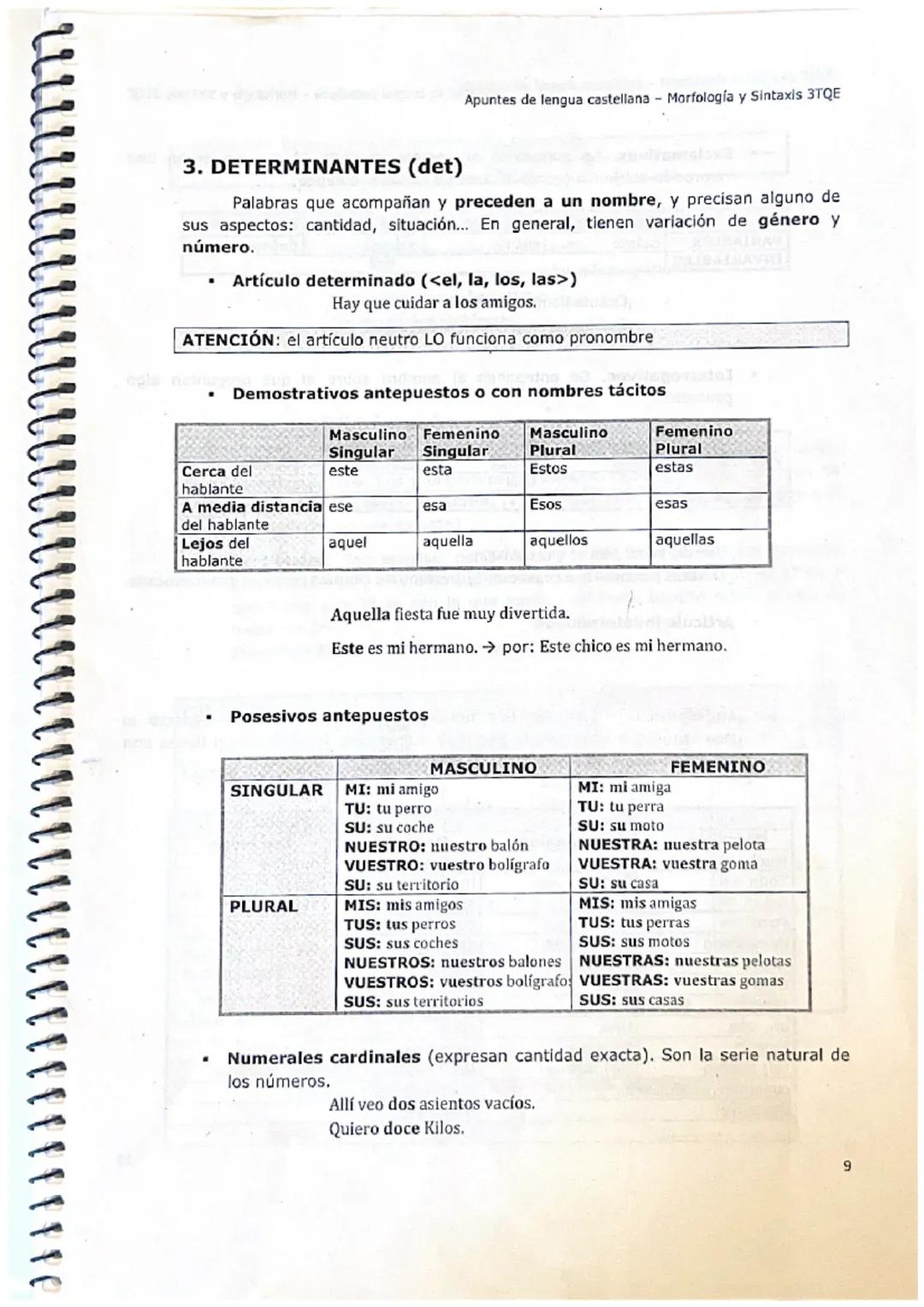 ·
Apuntes de lengua castellana - Morfología y Sintaxis 3TQE
Conjunto de palabras que comparten propiedades sintácticas fundamentales,
así co