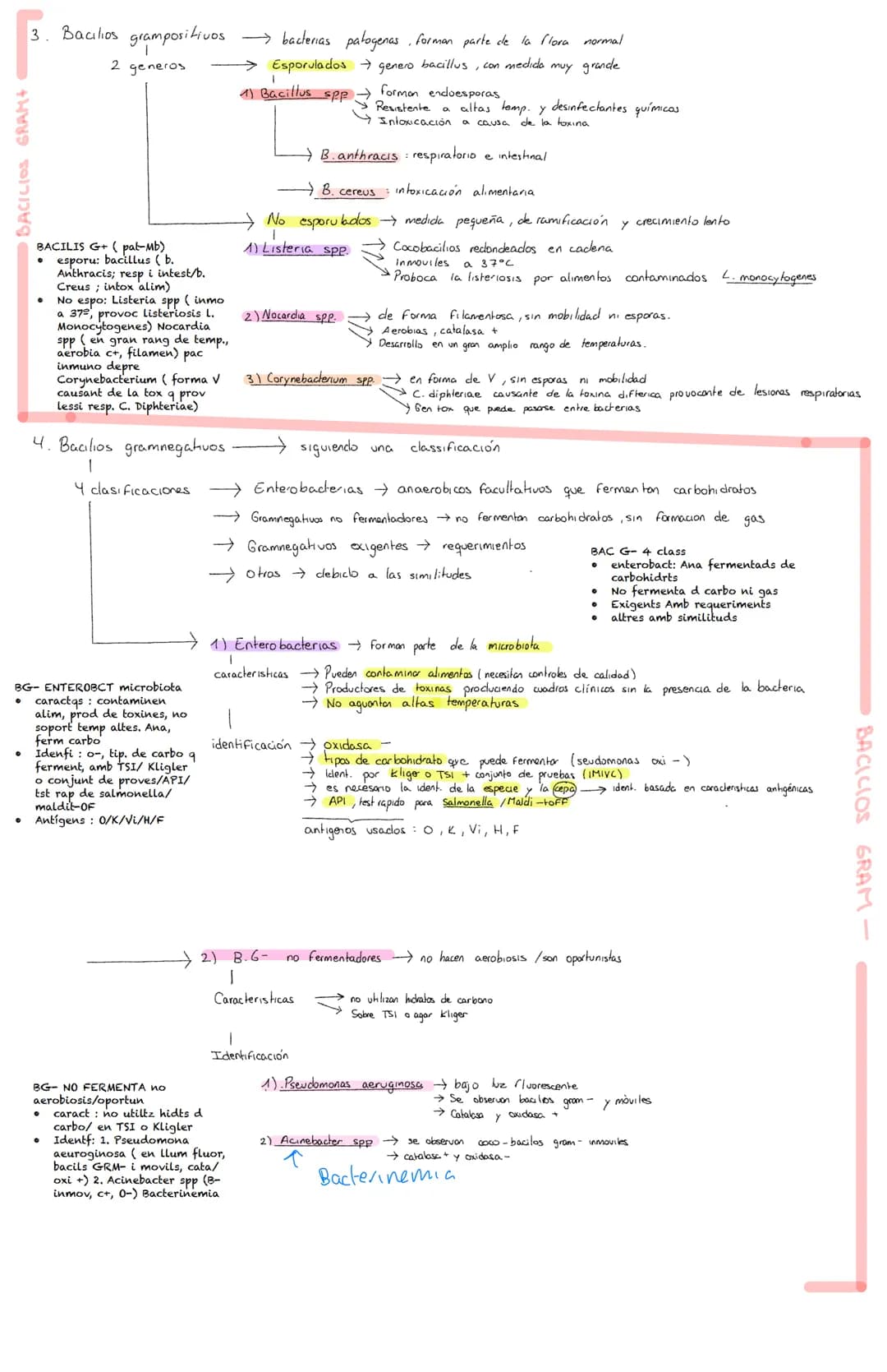 <h2 id="pruebasbioqumicasdeidentificacinbacteriana">Pruebas Bioquímicas de Identificación Bacteriana</h2>
<p>Los bacilos grampositivos son b