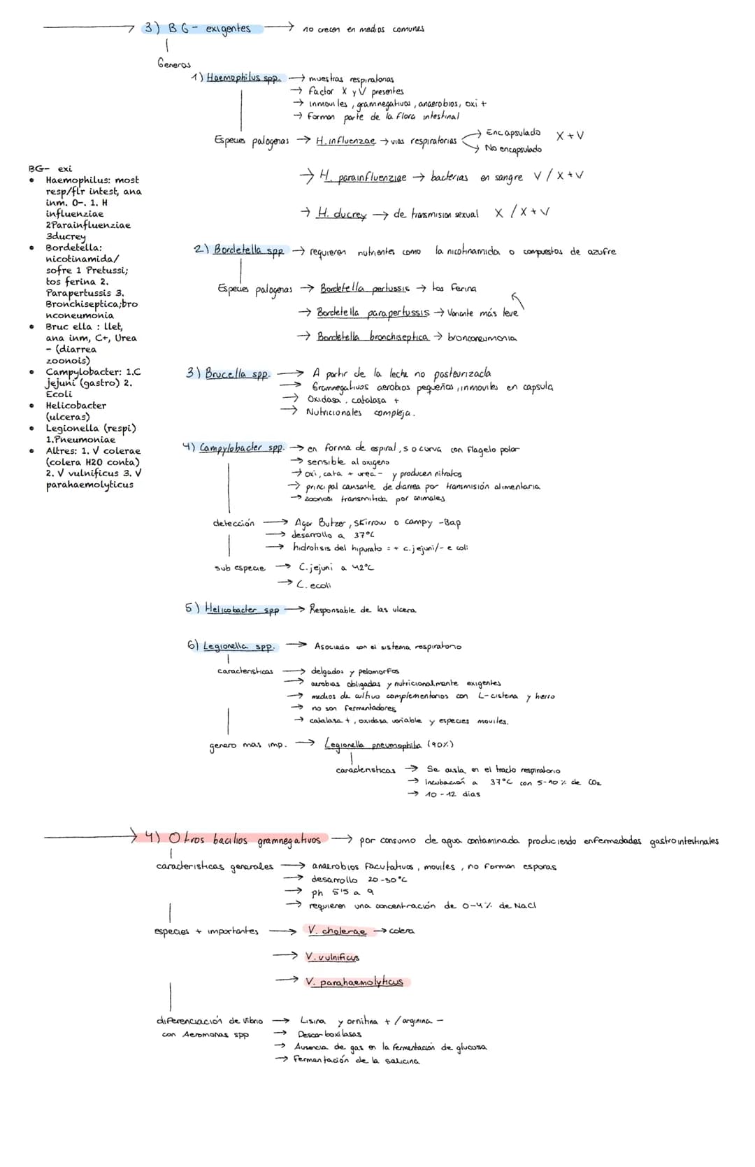 <h2 id="pruebasbioqumicasdeidentificacinbacteriana">Pruebas Bioquímicas de Identificación Bacteriana</h2>
<p>Los bacilos grampositivos son b