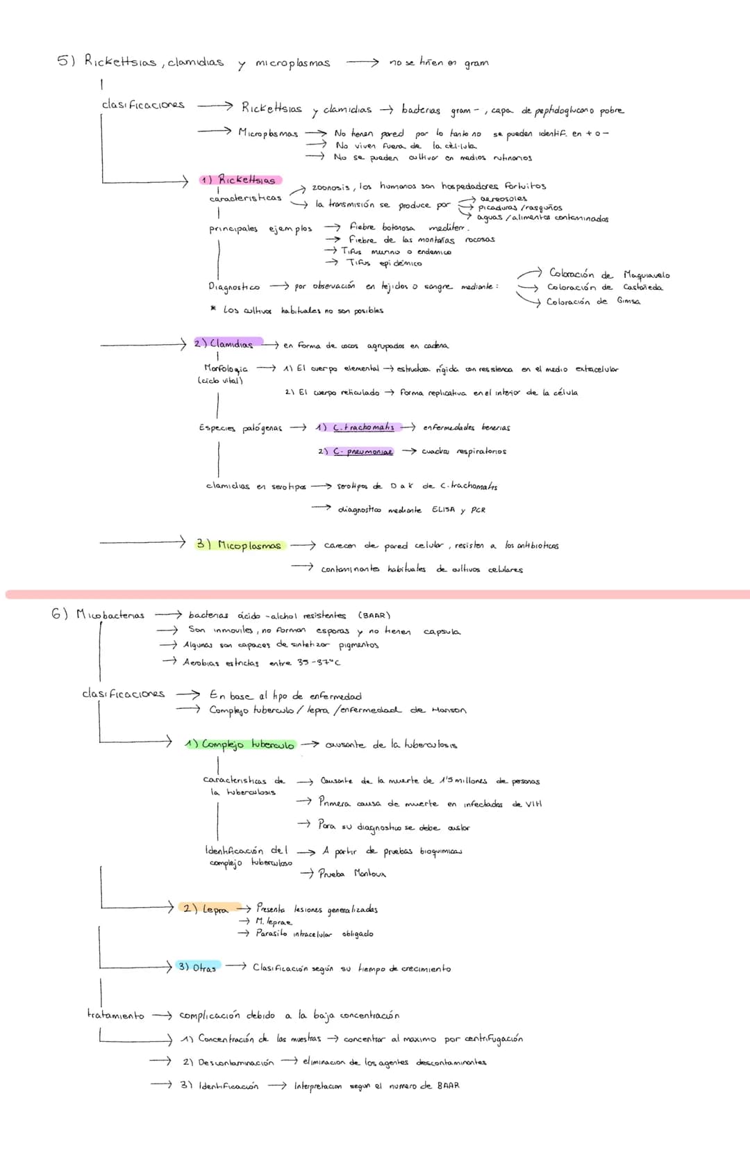 <h2 id="pruebasbioqumicasdeidentificacinbacteriana">Pruebas Bioquímicas de Identificación Bacteriana</h2>
<p>Los bacilos grampositivos son b