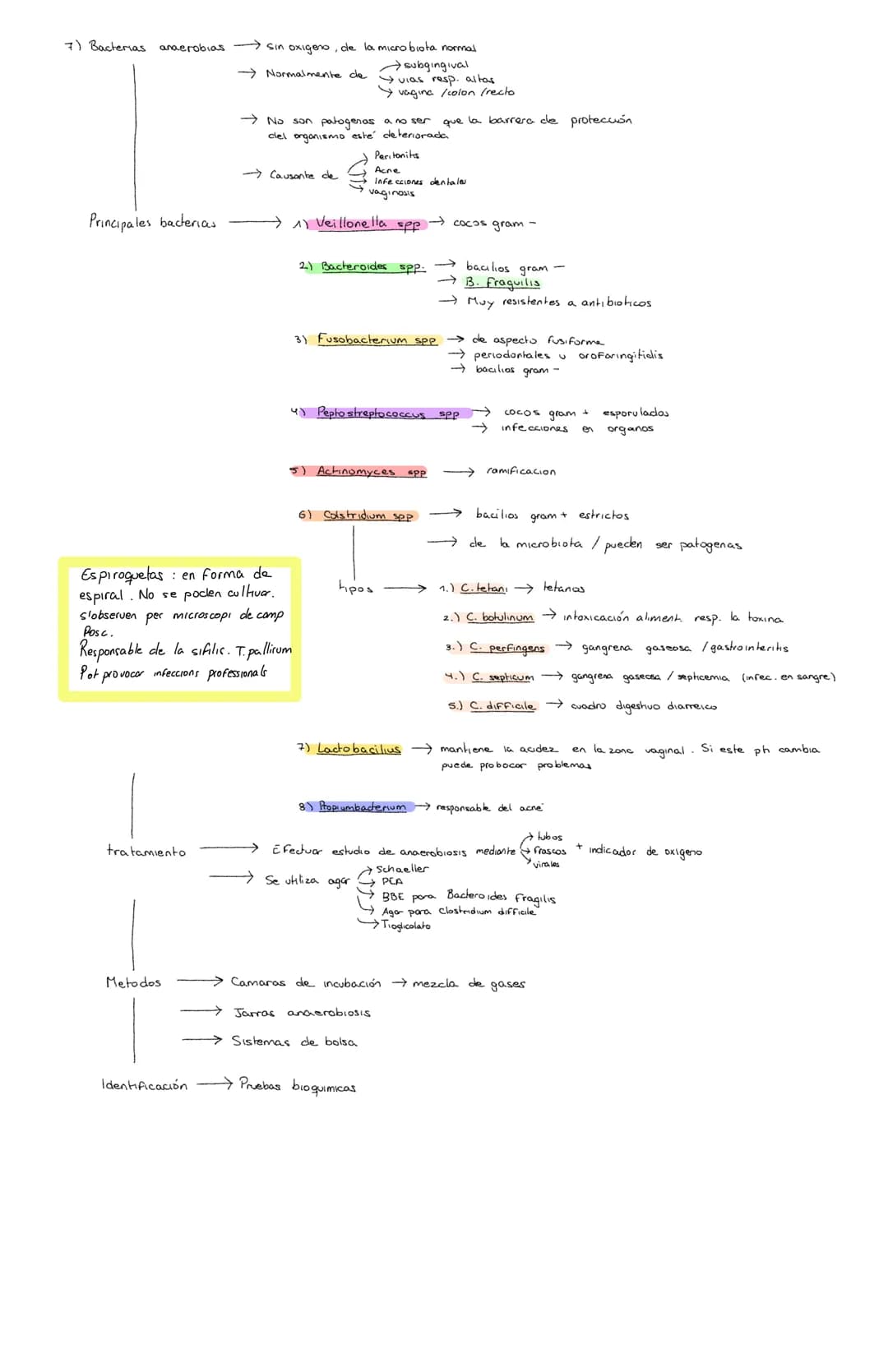 <h2 id="pruebasbioqumicasdeidentificacinbacteriana">Pruebas Bioquímicas de Identificación Bacteriana</h2>
<p>Los bacilos grampositivos son b
