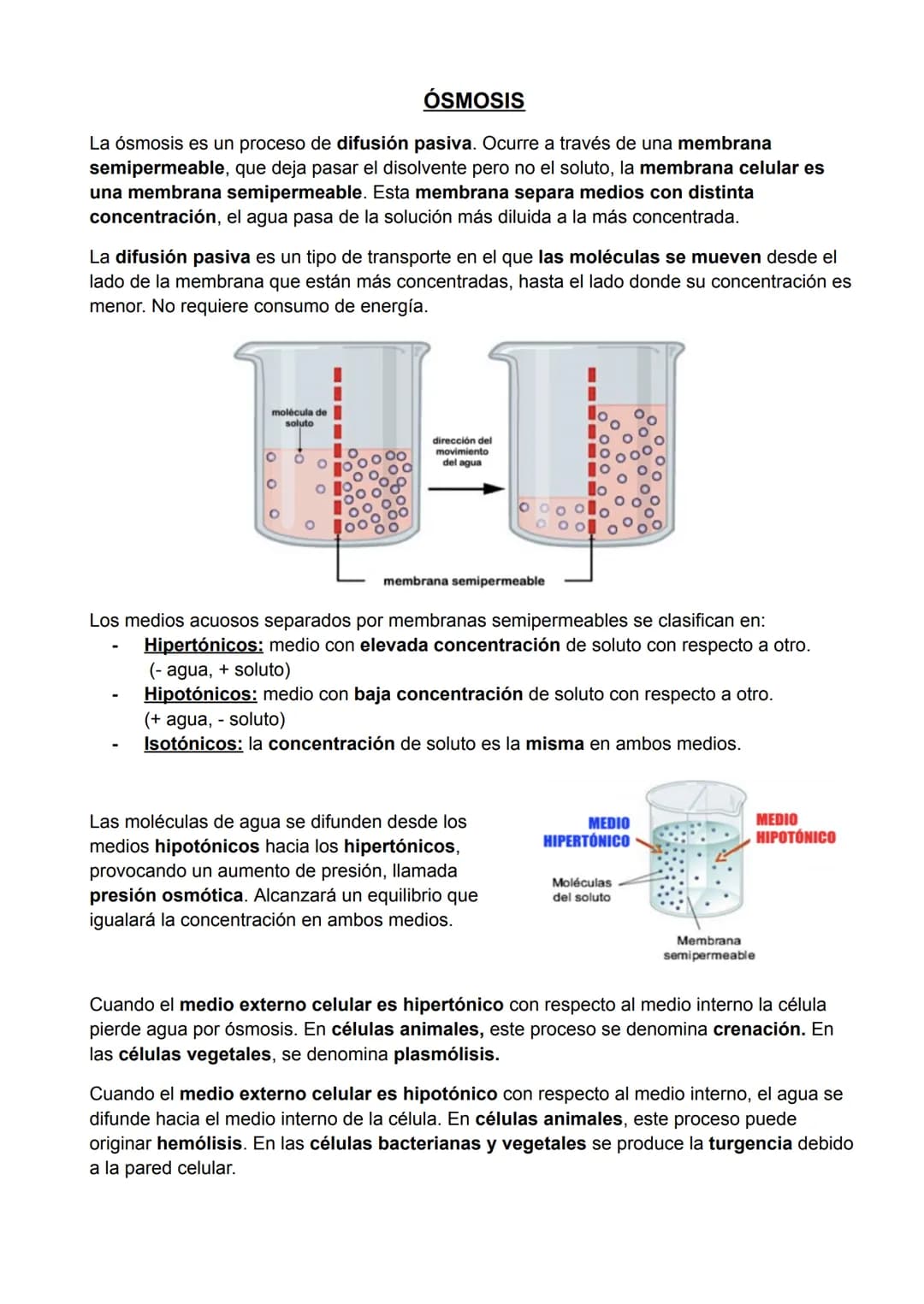 BIOELEMENTOS
Todos los seres vivos están formados por la combinación de algunos elementos químicos,
que reciben el nombre de bioelementos. E