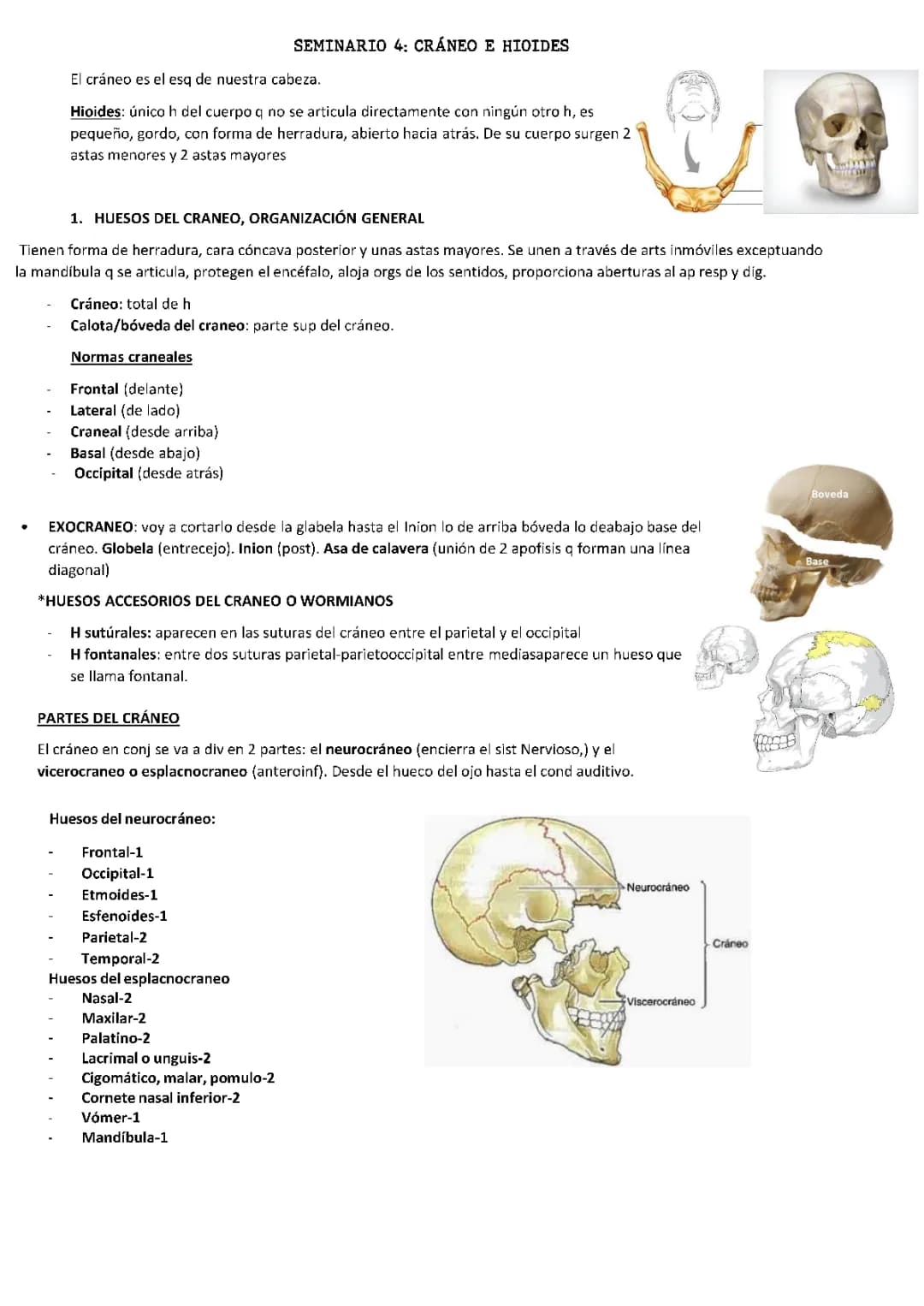 SEMINARIO 4 