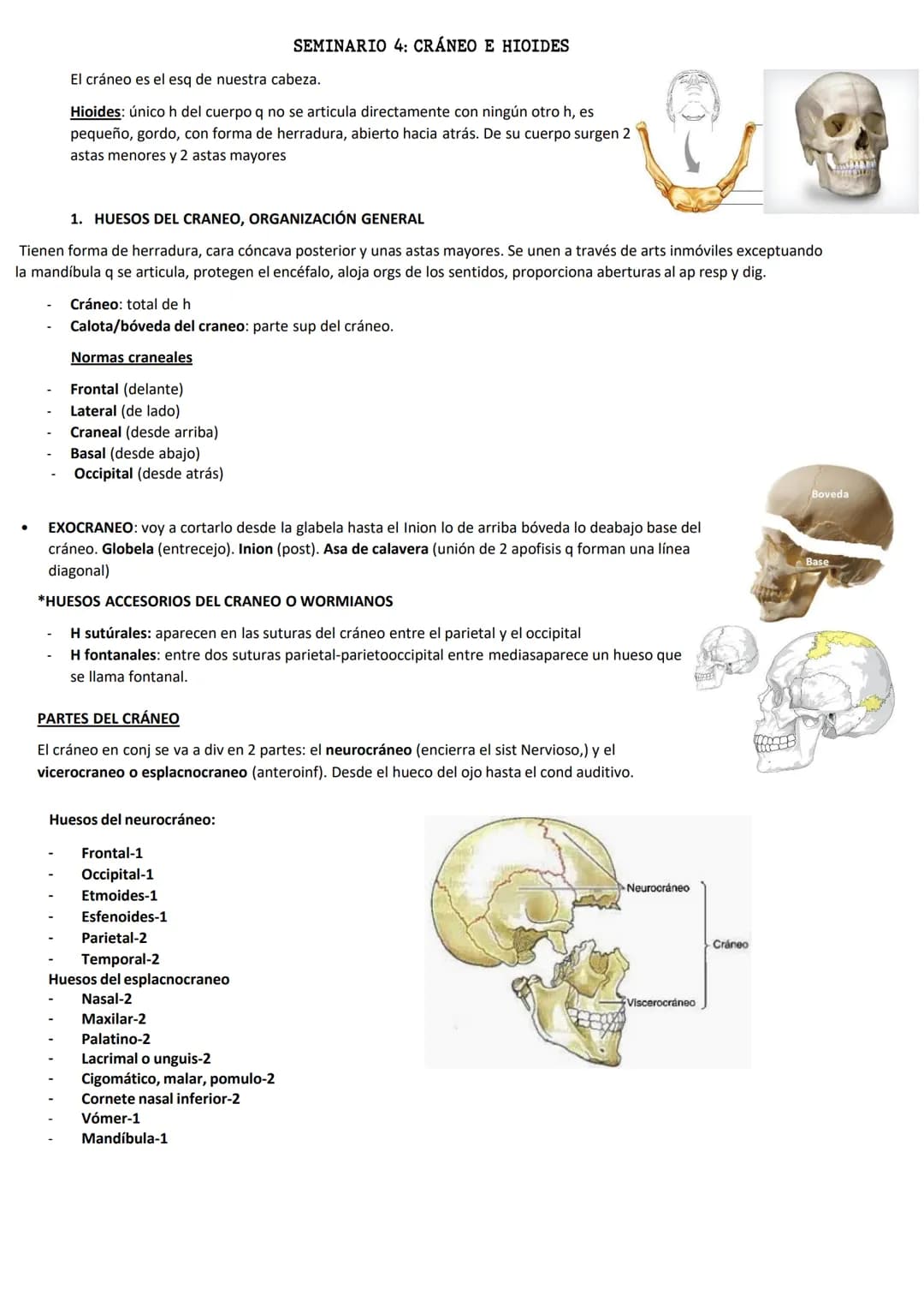 ●
El cráneo es el esq de nuestra cabeza.
Hioides: único h del cuerpo q no se articula directamente con ningún otro h, es
pequeño, gordo, con