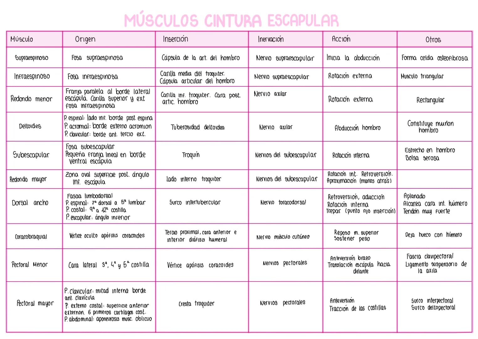 Músculo
Supraespinoso
Infraespinoso
Redondo menor
Deltoides
Subescapular
Redondo mayor
Dorsal ancho
Coracobraquial
Pectoral Menor
Pectoral m