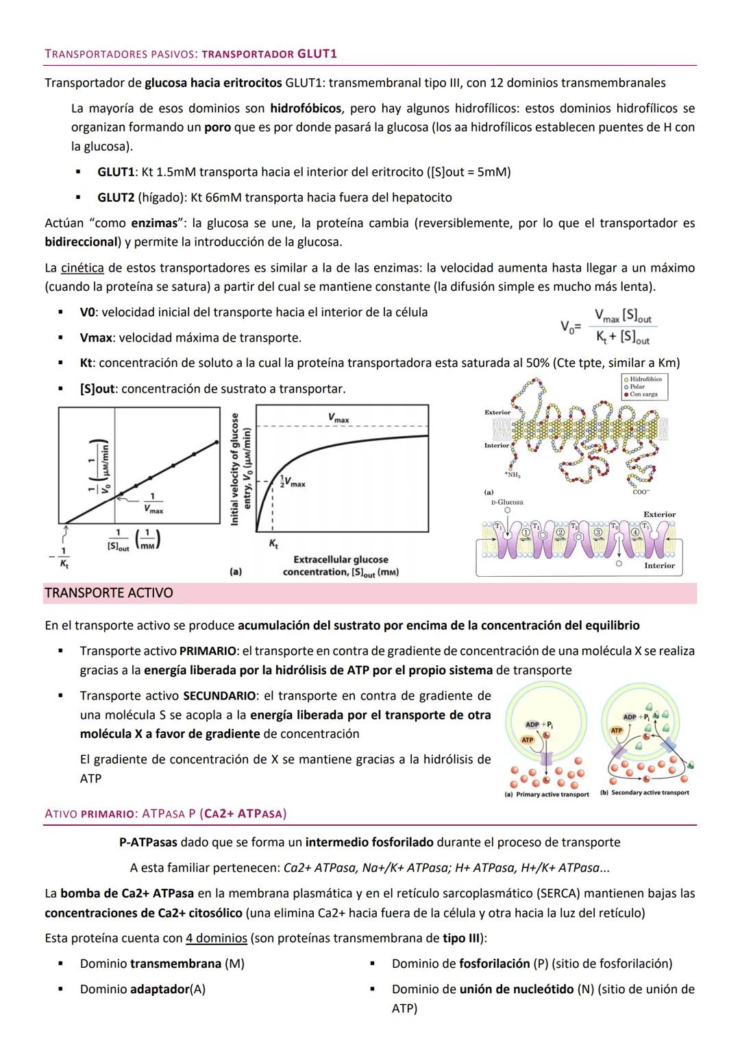 Membranas biologicas.
La membrana biológica es una barrera física que separa el medio intracelular del medio extracelular: es el elemento
qu