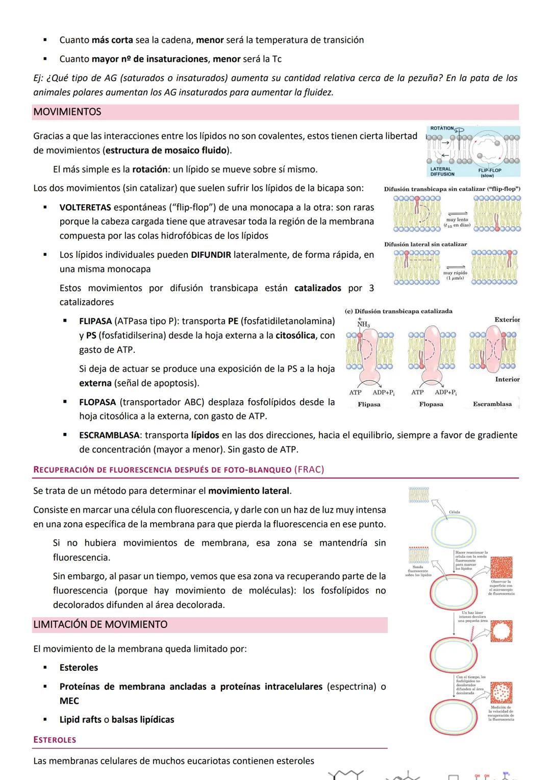 Membranas biologicas.
La membrana biológica es una barrera física que separa el medio intracelular del medio extracelular: es el elemento
qu