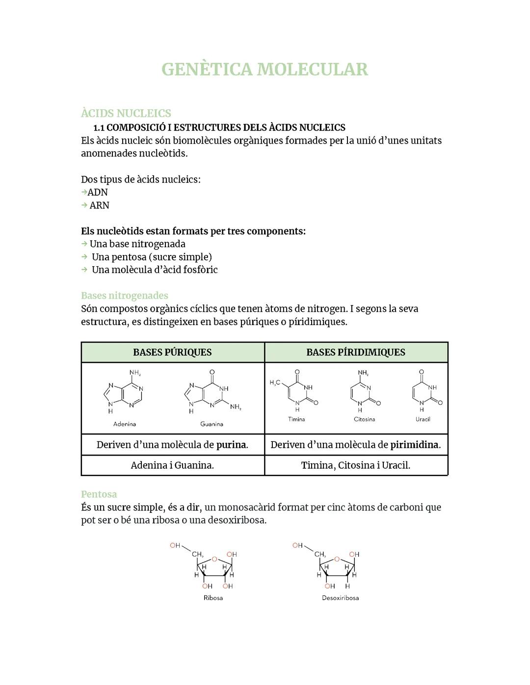 Introducció a la Genètica Molecular: Fonaments i Aplicacions